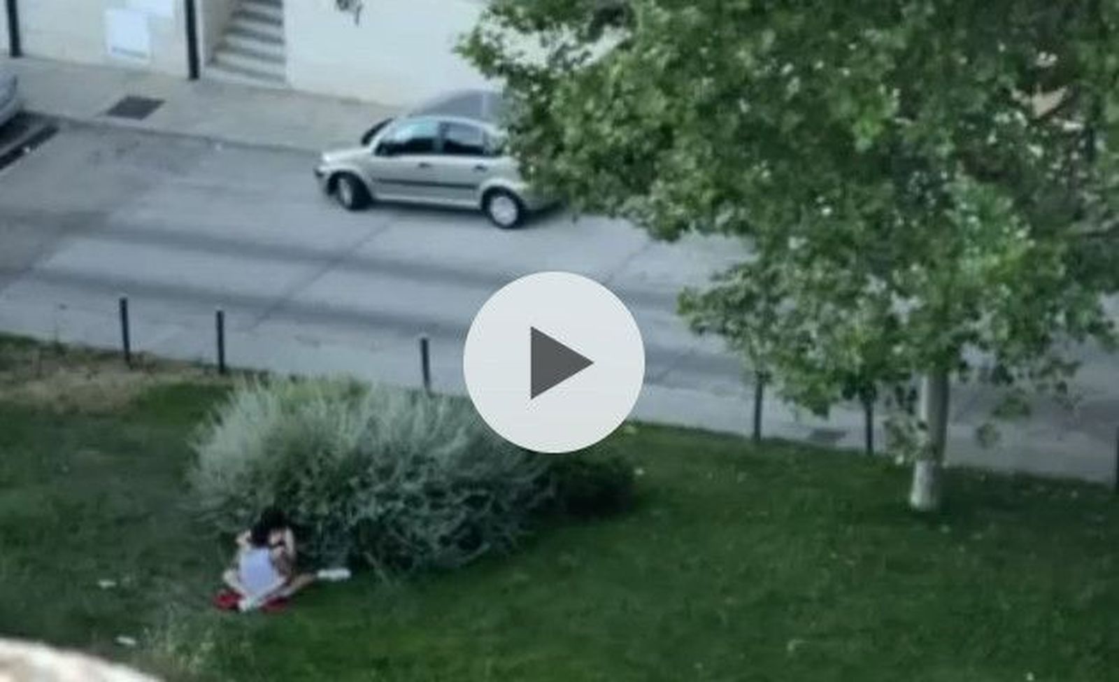 7DC904B9 D12E 4ABD 8B7B AA69C135E16C