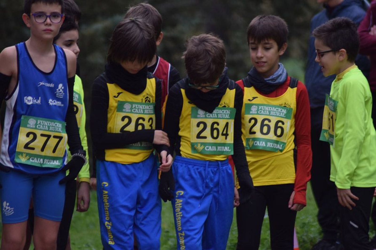 cross-de-otono-en-el-bosque-de-valorio-26