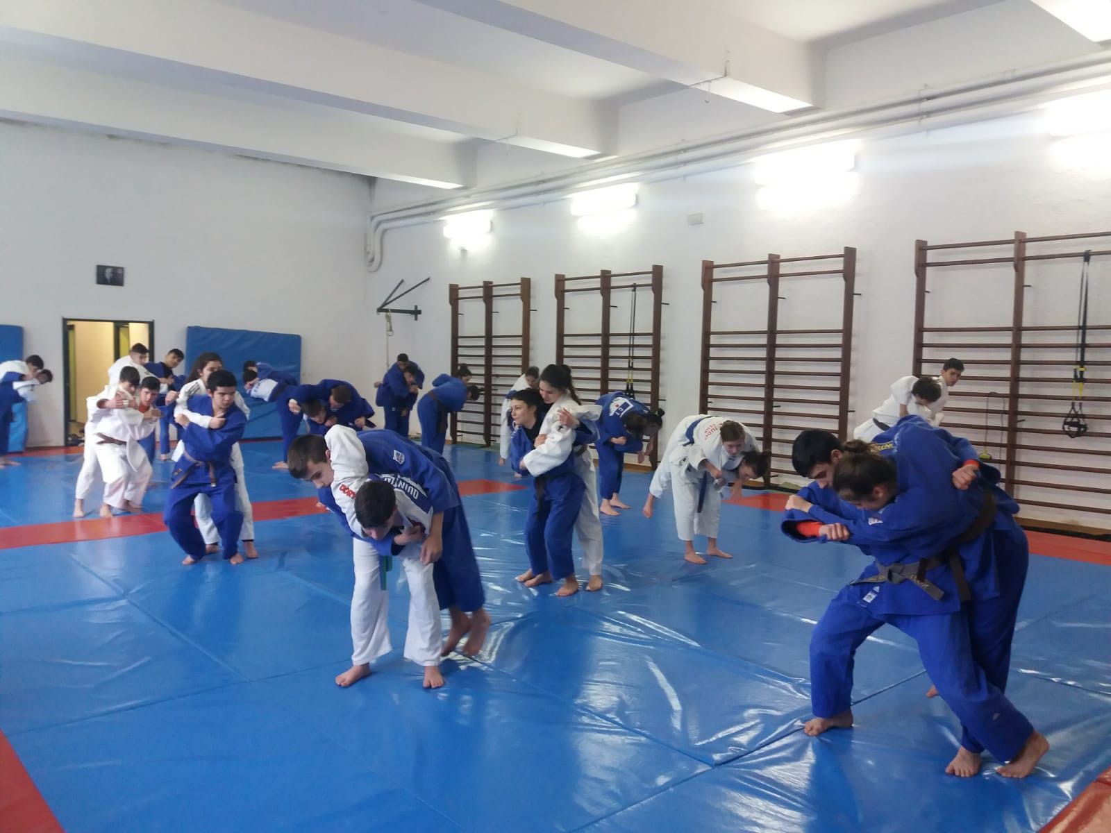 Llano alto carnavales 2020