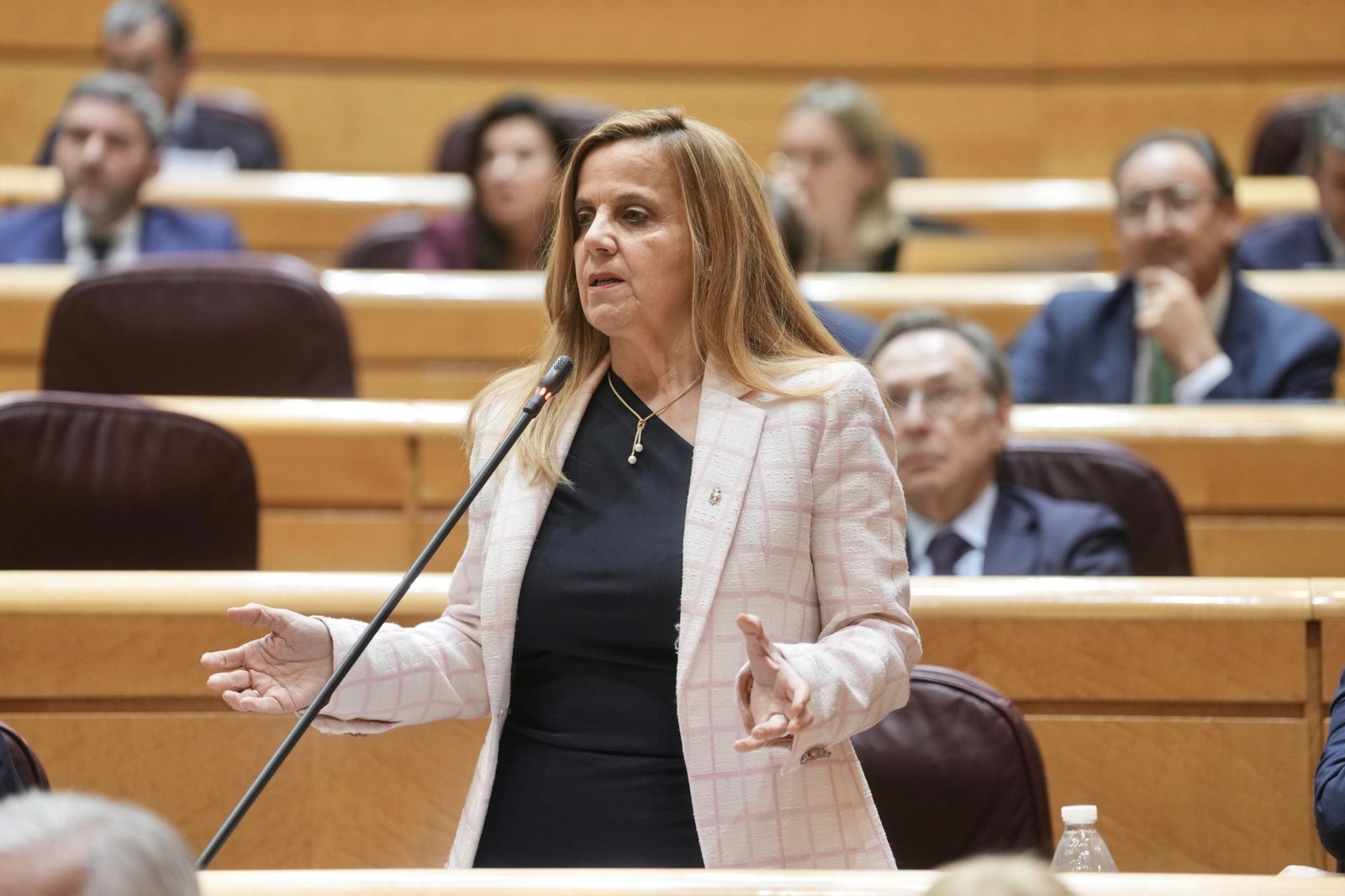 Esther del Brío durante su intervención en el Senado