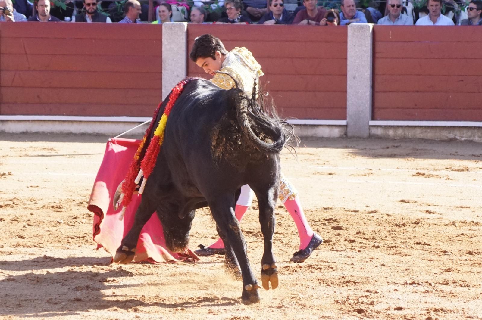 whatsapp-image-2024-04-20-at-19-57-44-4