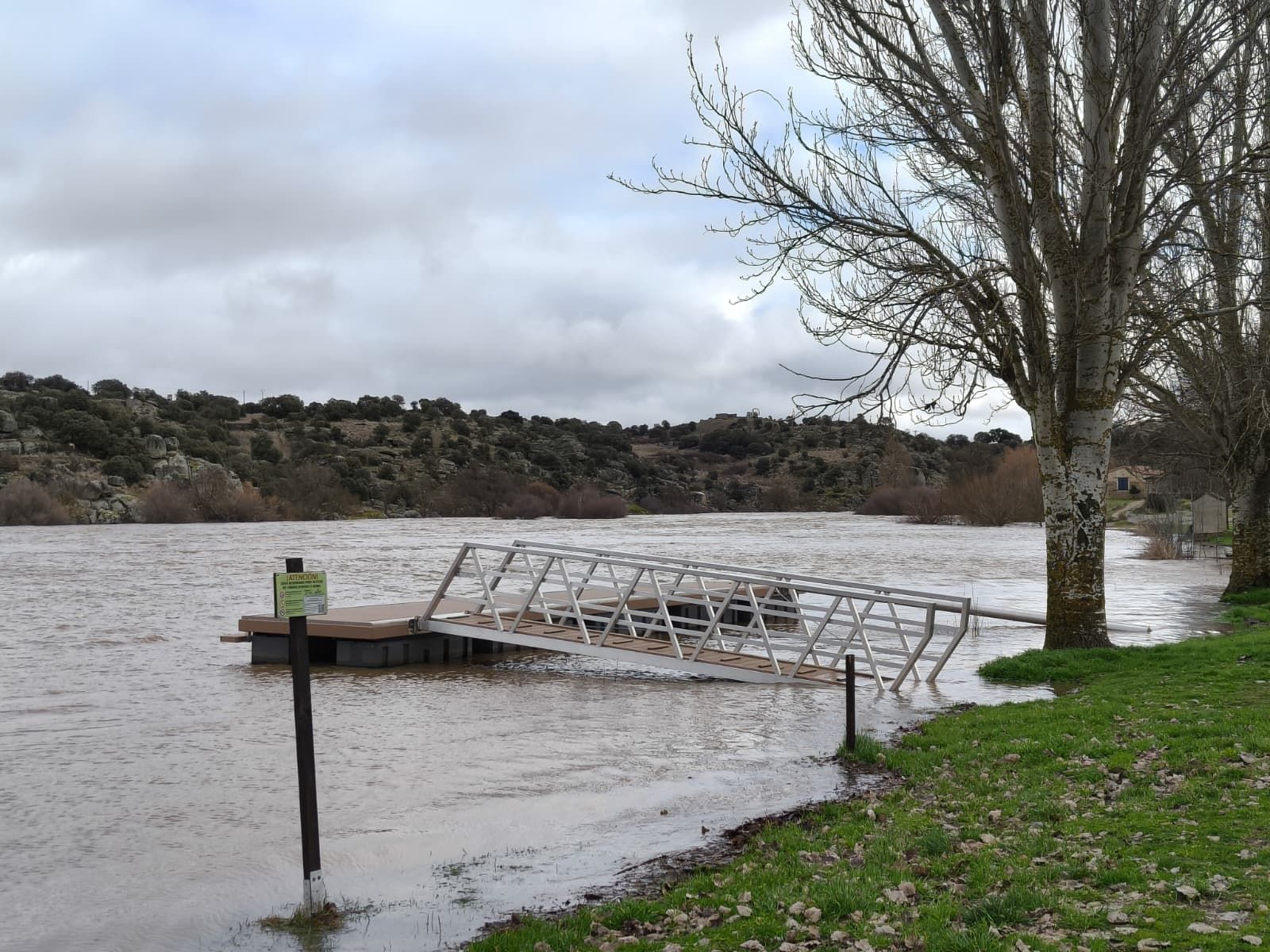 El Tormes desbordado en Ledesma  (8).jpeg