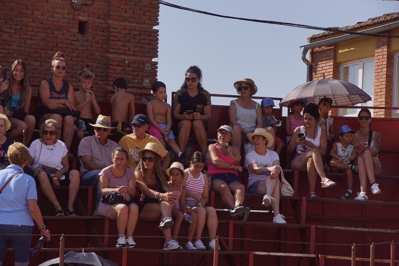 toro-de-cajon-de-castrillo-de-la-guarena-fotos-juanes-39