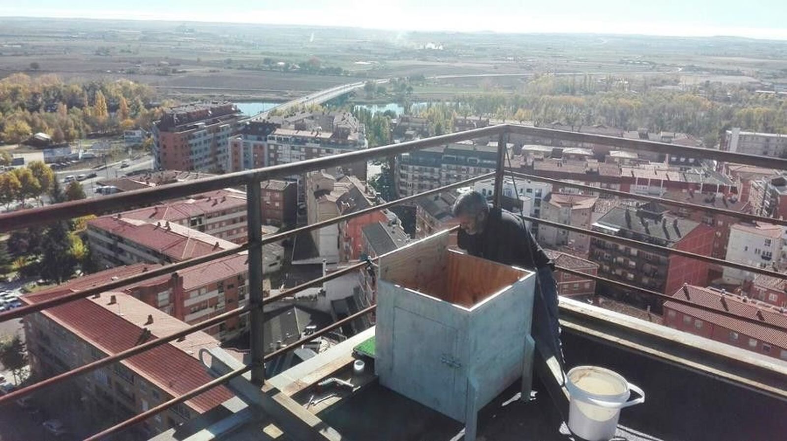 CajaNidoHalcones11Copy