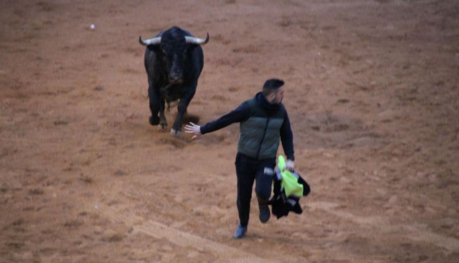Capea domingo tarde Carnaval del Toro Ciudad Rodrigo 2025 con un astado de Víctorino Martín y de Guadajira. Foto: S24H