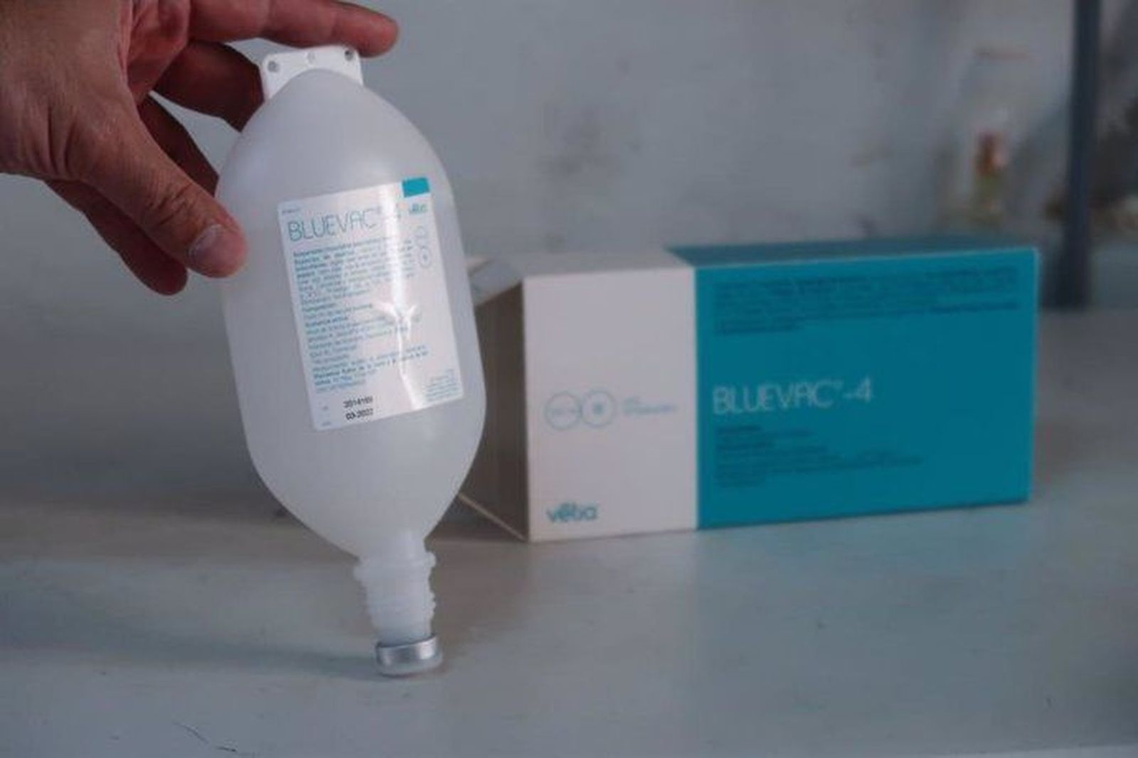 Vacuna de la lengua azul. Foto EP