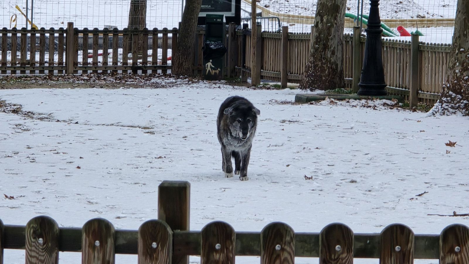 Nieve en Salamanca capital