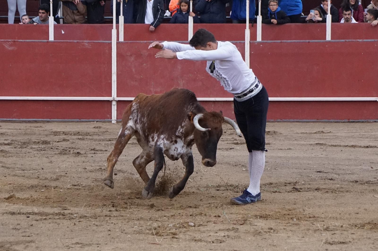 whatsapp-image-2023-05-22-at-20-19-05