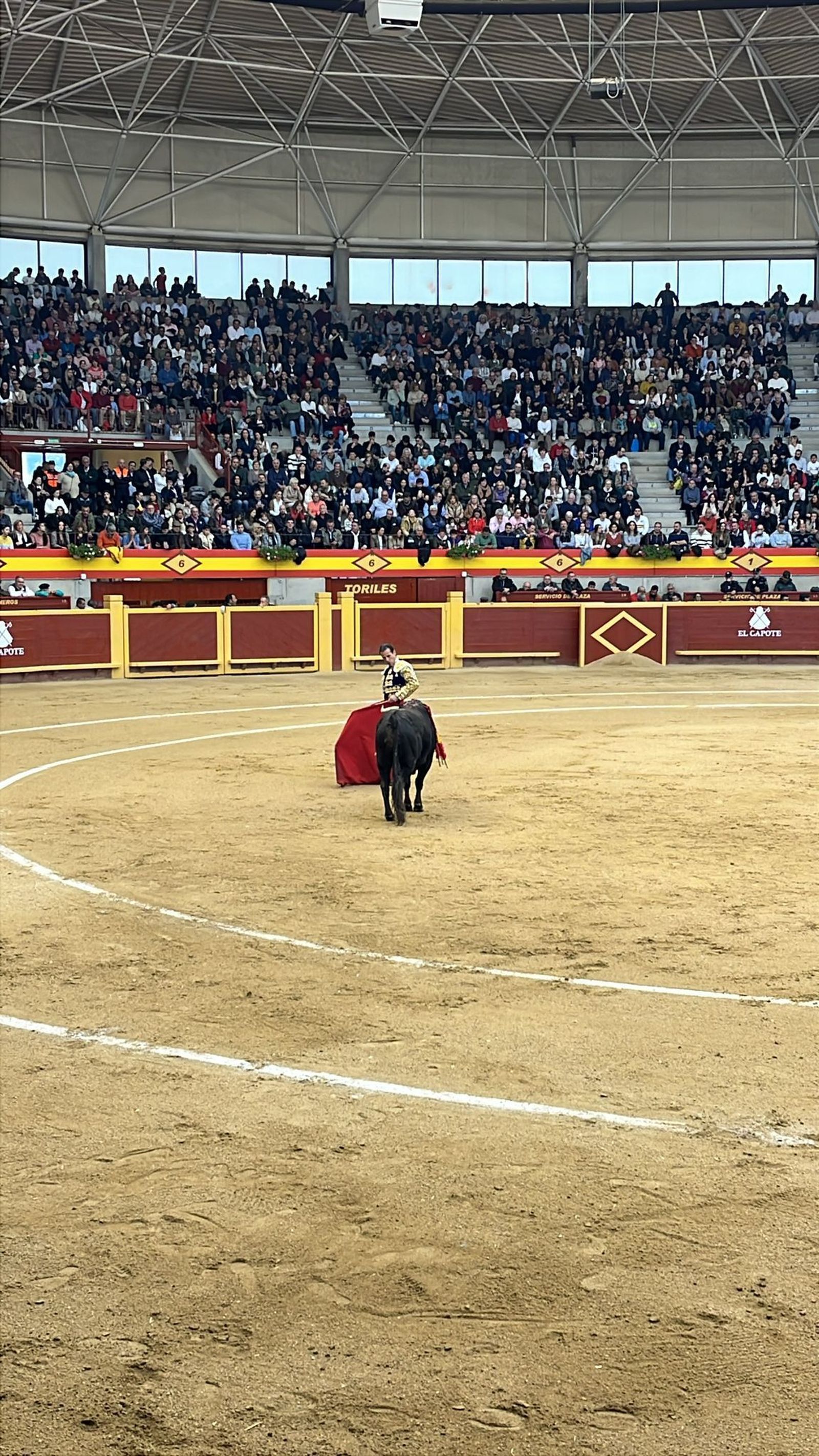 whatsapp-image-2025-04-05-at-18-34-13