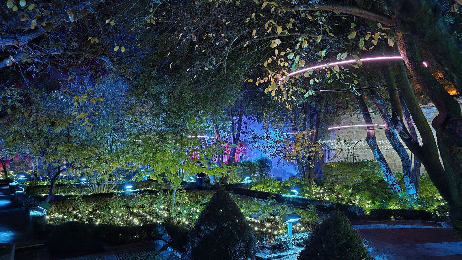 Pase para gráficos del ‘Jardín mágico del Huerto de Calixto y Melibea’