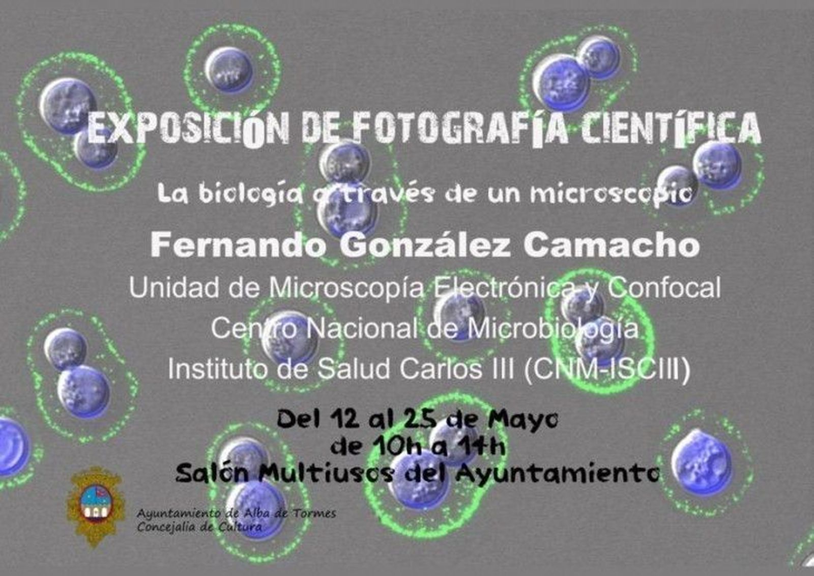 El Ayuntamiento acoge la exposición 'La biología a través de un microscopio' El Ayuntamiento acoge la exposición 'La biología a través de un microscopio'