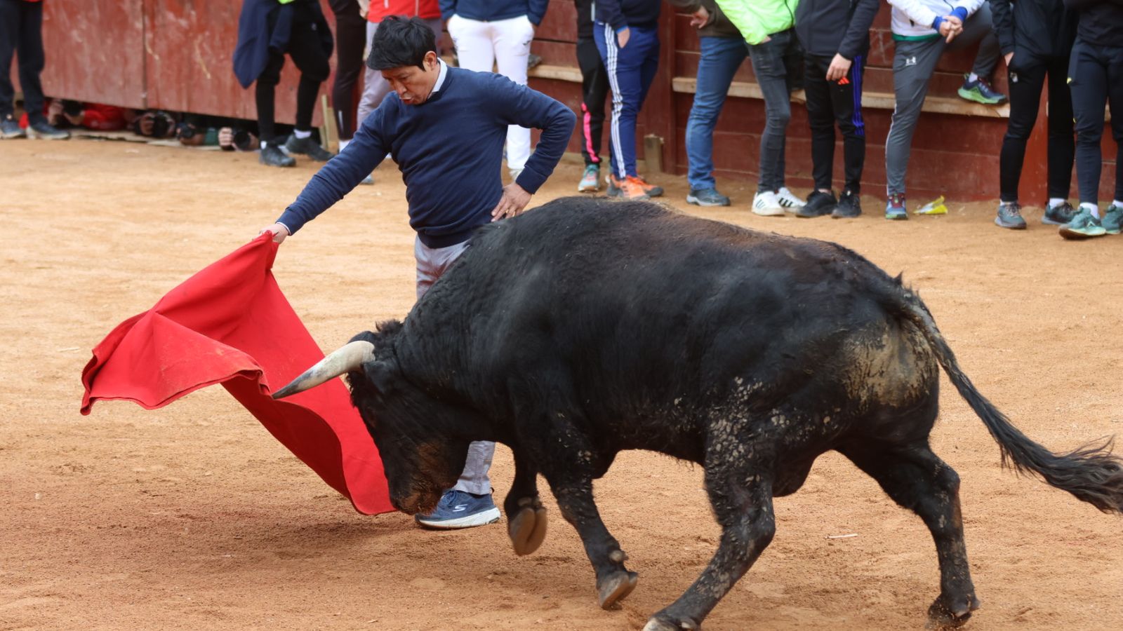 El matador de toros José Luis Gordillo actuando en la mañana de capea de lunes en el Carnaval del Toro 2026