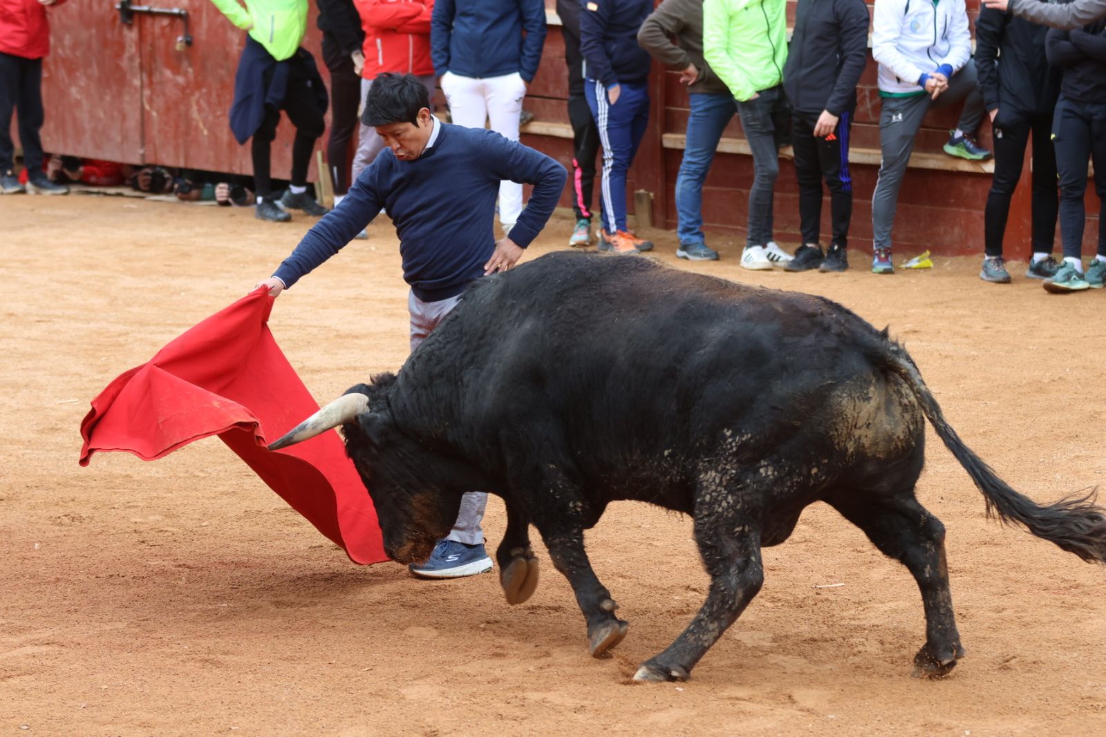 Mañana de capea de lunes en el Carnaval del Toro 2026