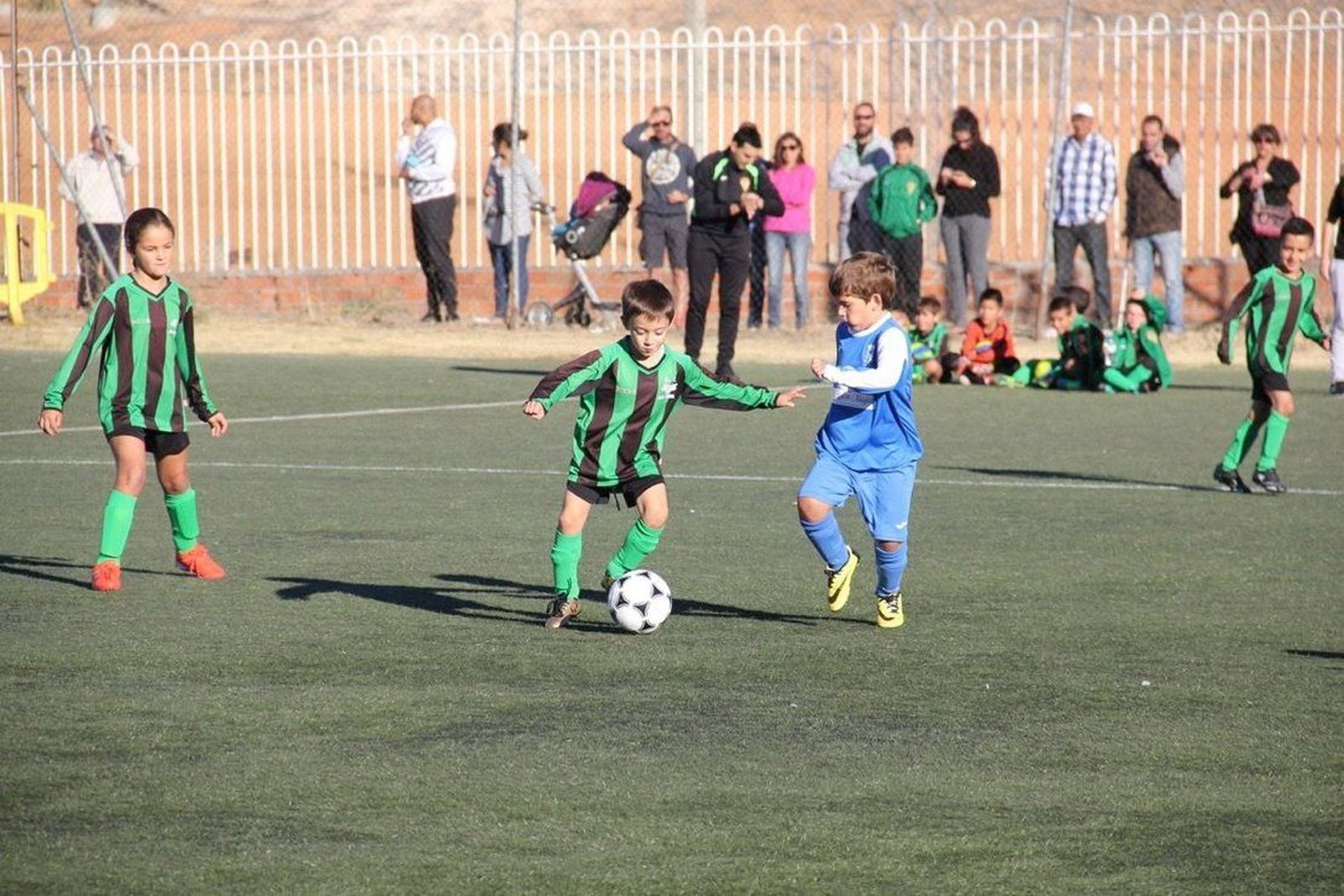 Resultados y clasificaciones: Prebenjamín