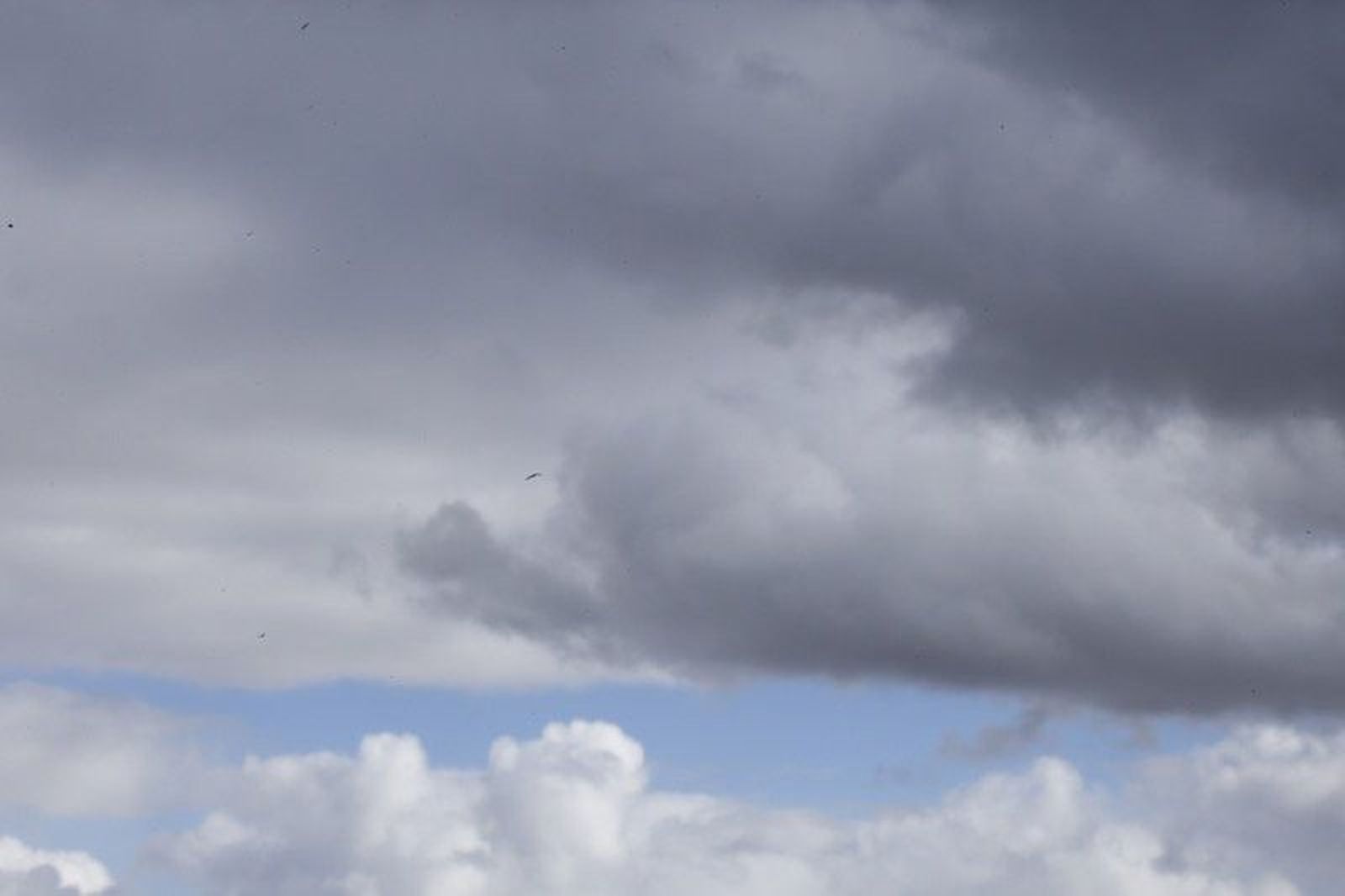 Máximas de 24 grados y nubes vespertinas