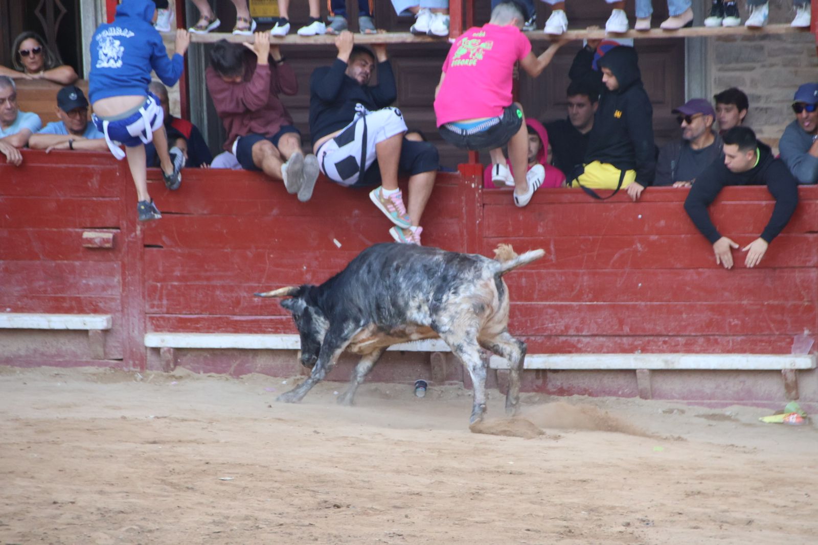 Encierro en Aldeadávila