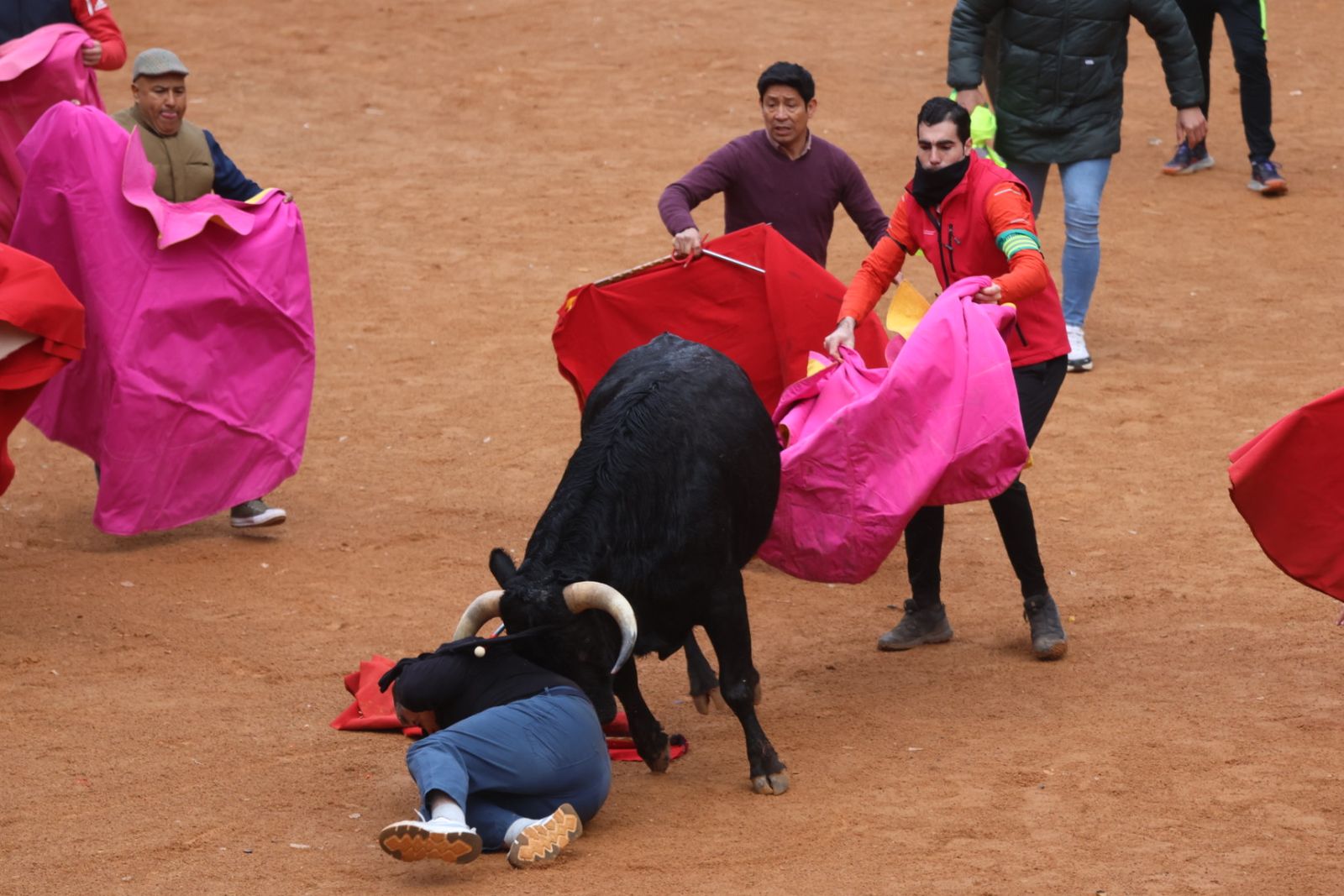 Capea de domingo en el Carnaval del Toro 2026 de Ciudad Rodrigo