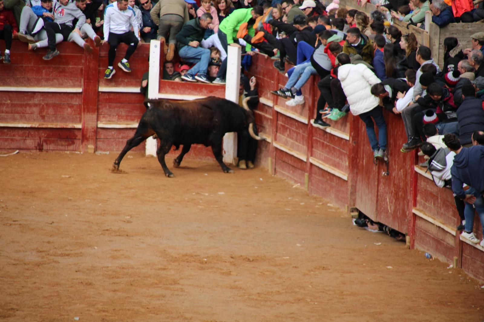 capea-matutina-del-martes-de-carnaval-11