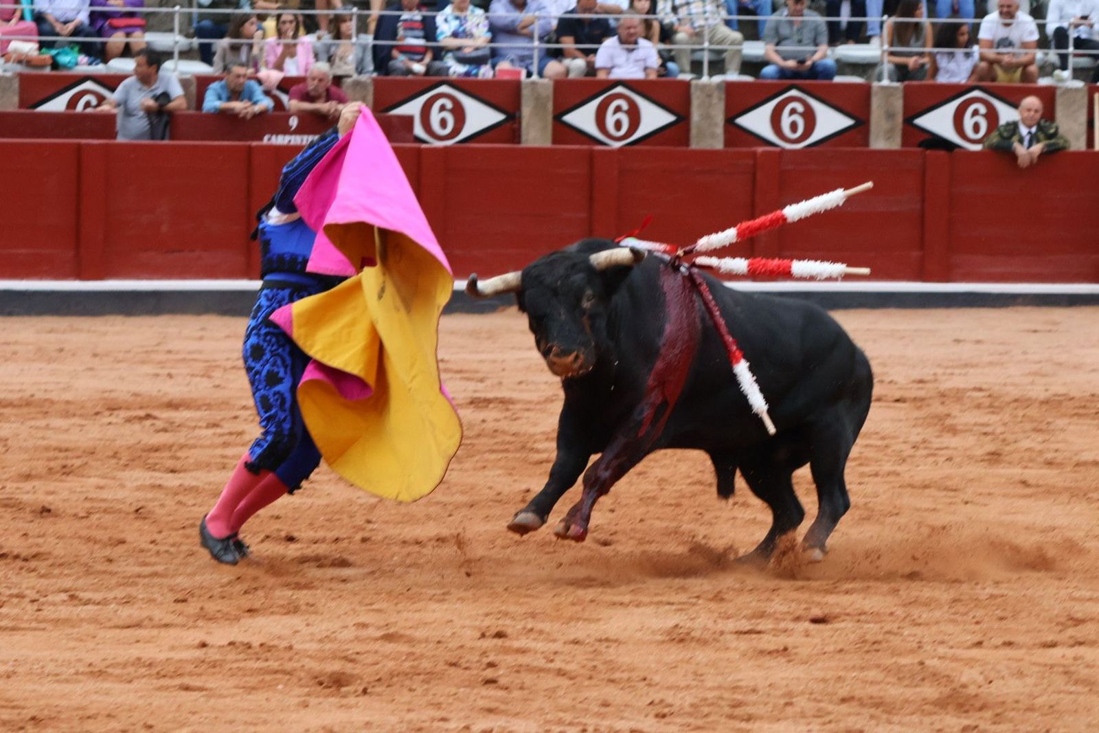 20230909184209-img-0724