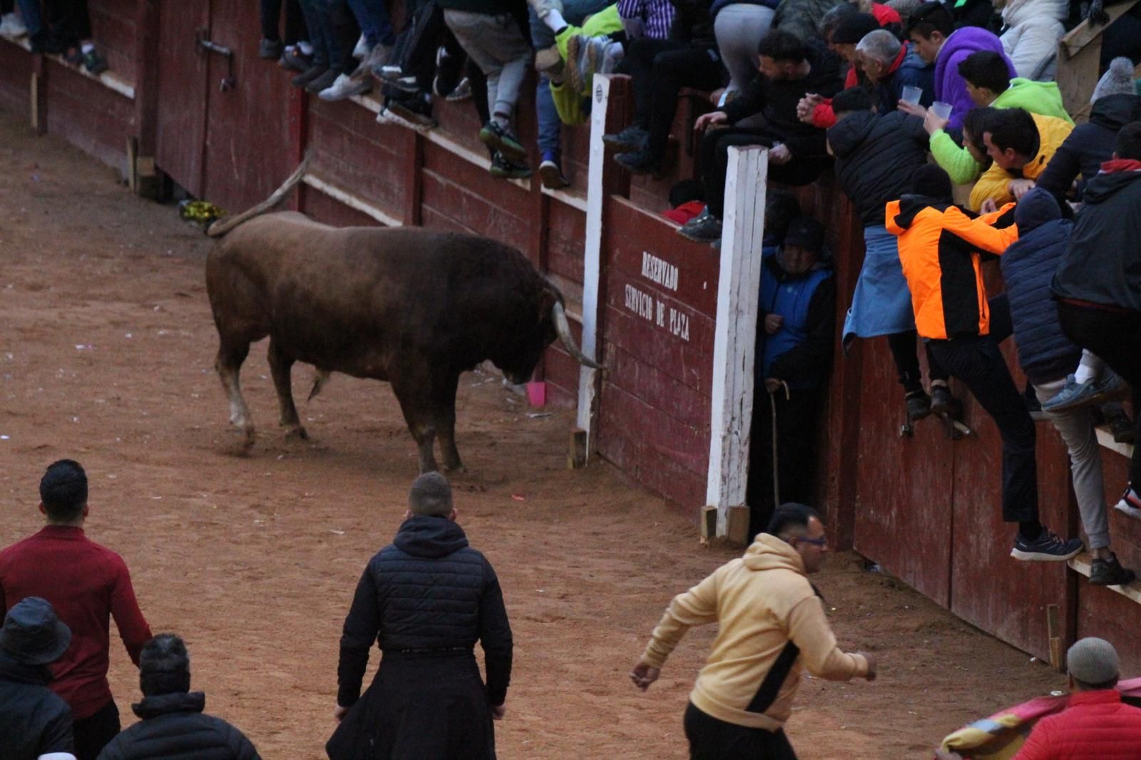 ambiente-y-capea-vespertina-sabado-de-carnaval-en-ciudad-rodrigo-2025-fotos-belen-hurtado-61