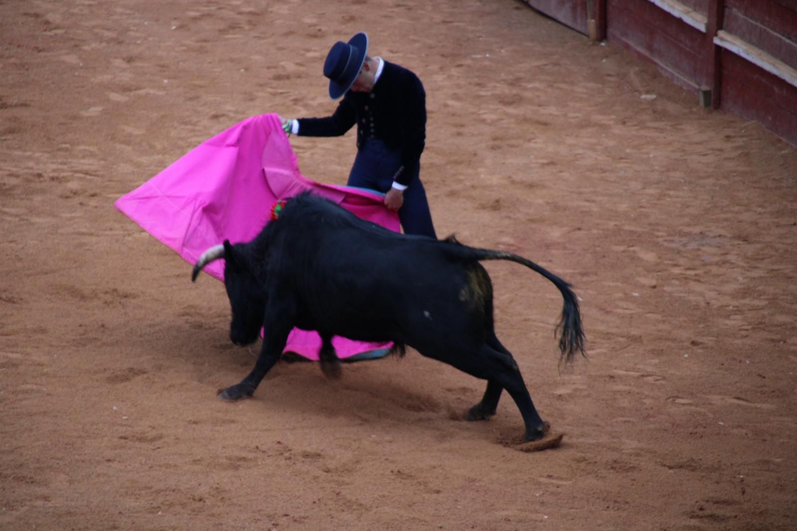 whatsapp-image-2025-03-02-at-18-55-15