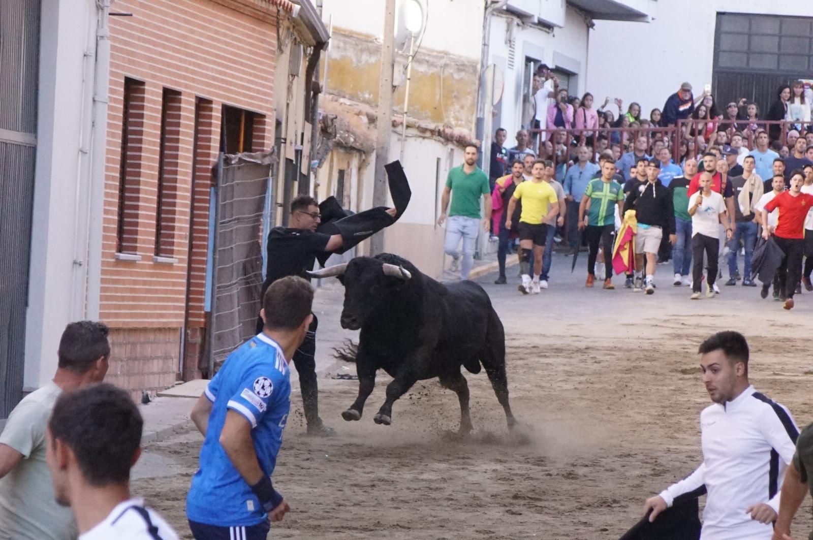 Toro del cajón y capea en Alba de Tormes