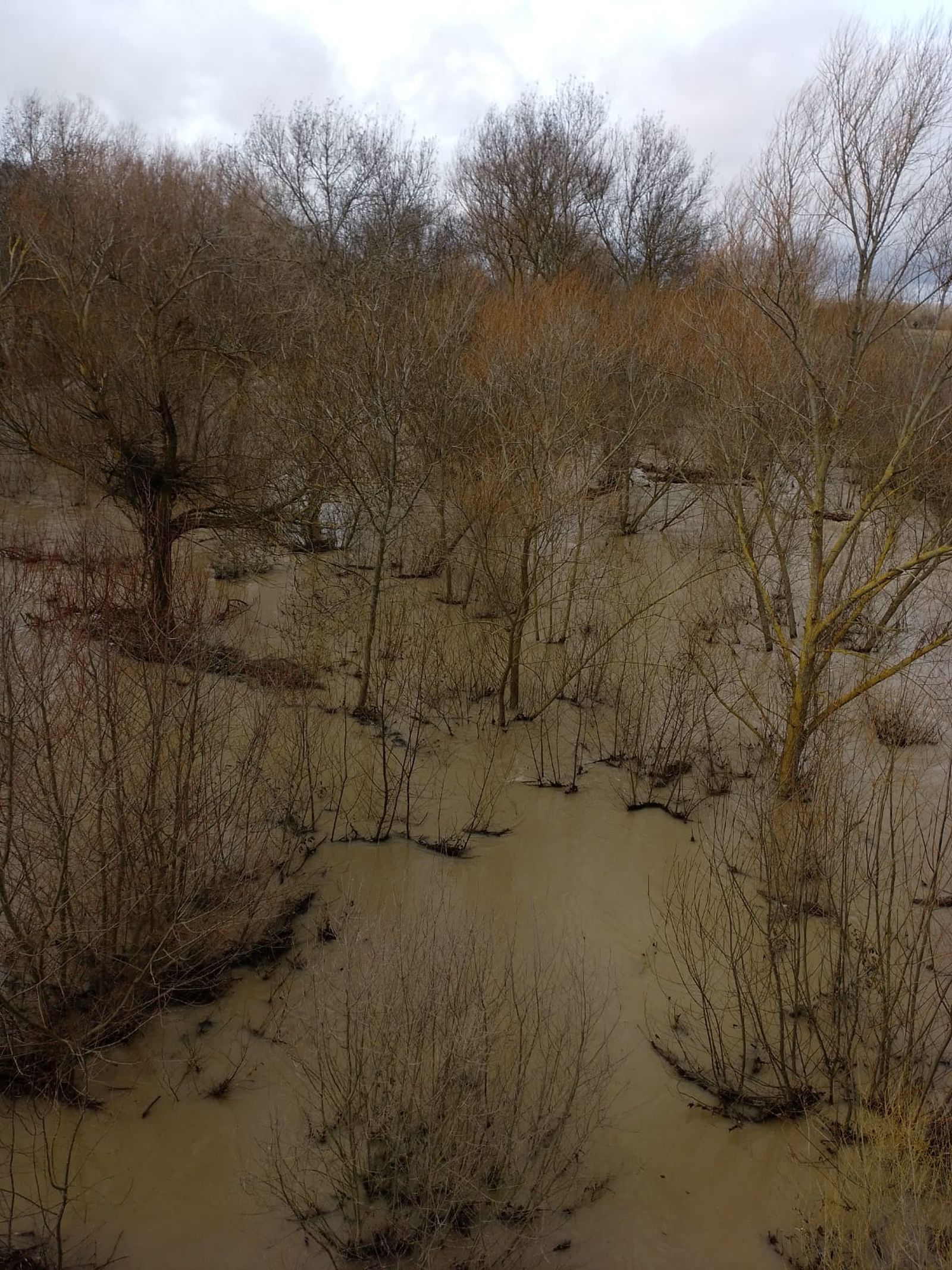 Garcihérnandez, el río Gamo se desborda (1).jpeg