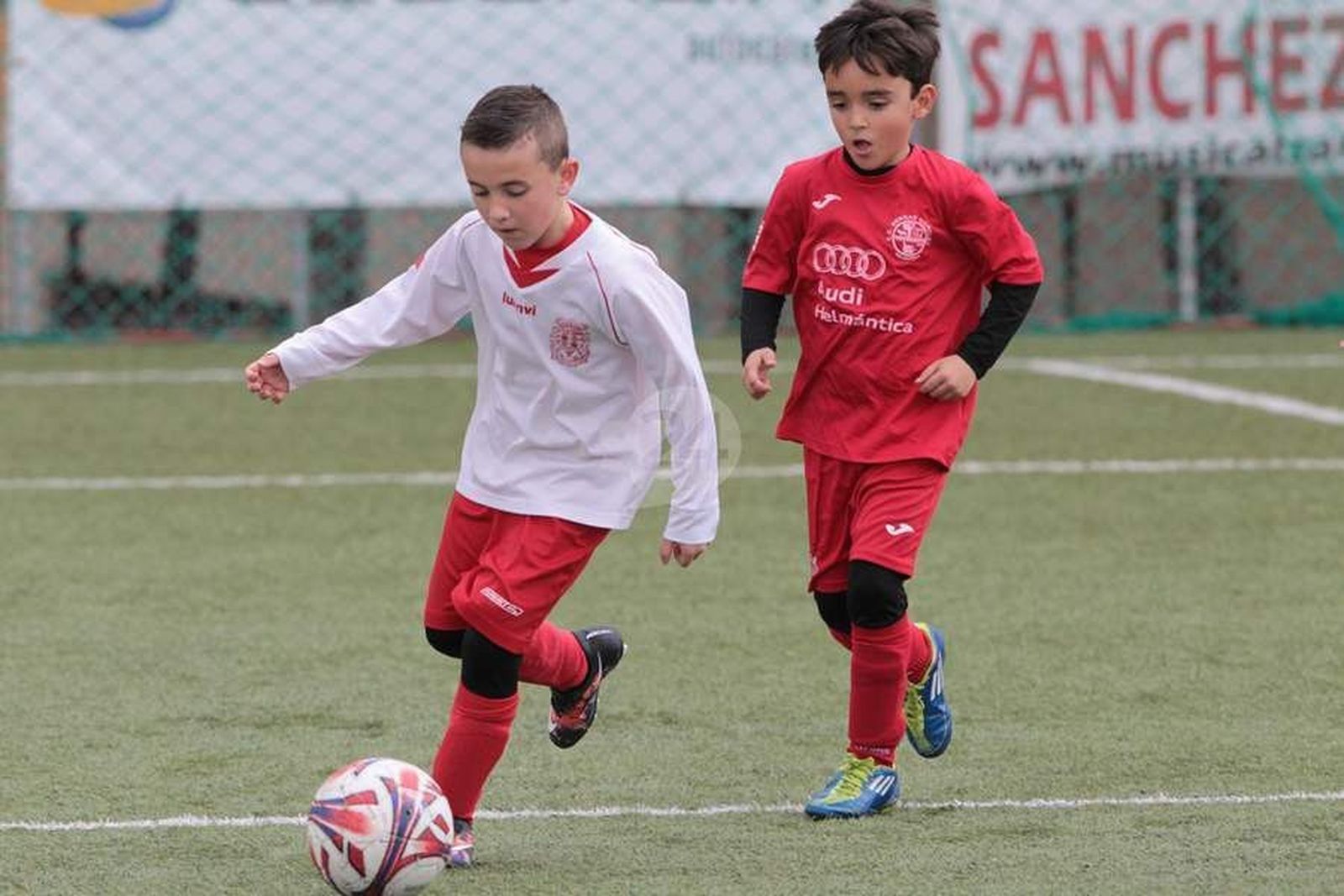 Resumen del año en categoría prebenjamín