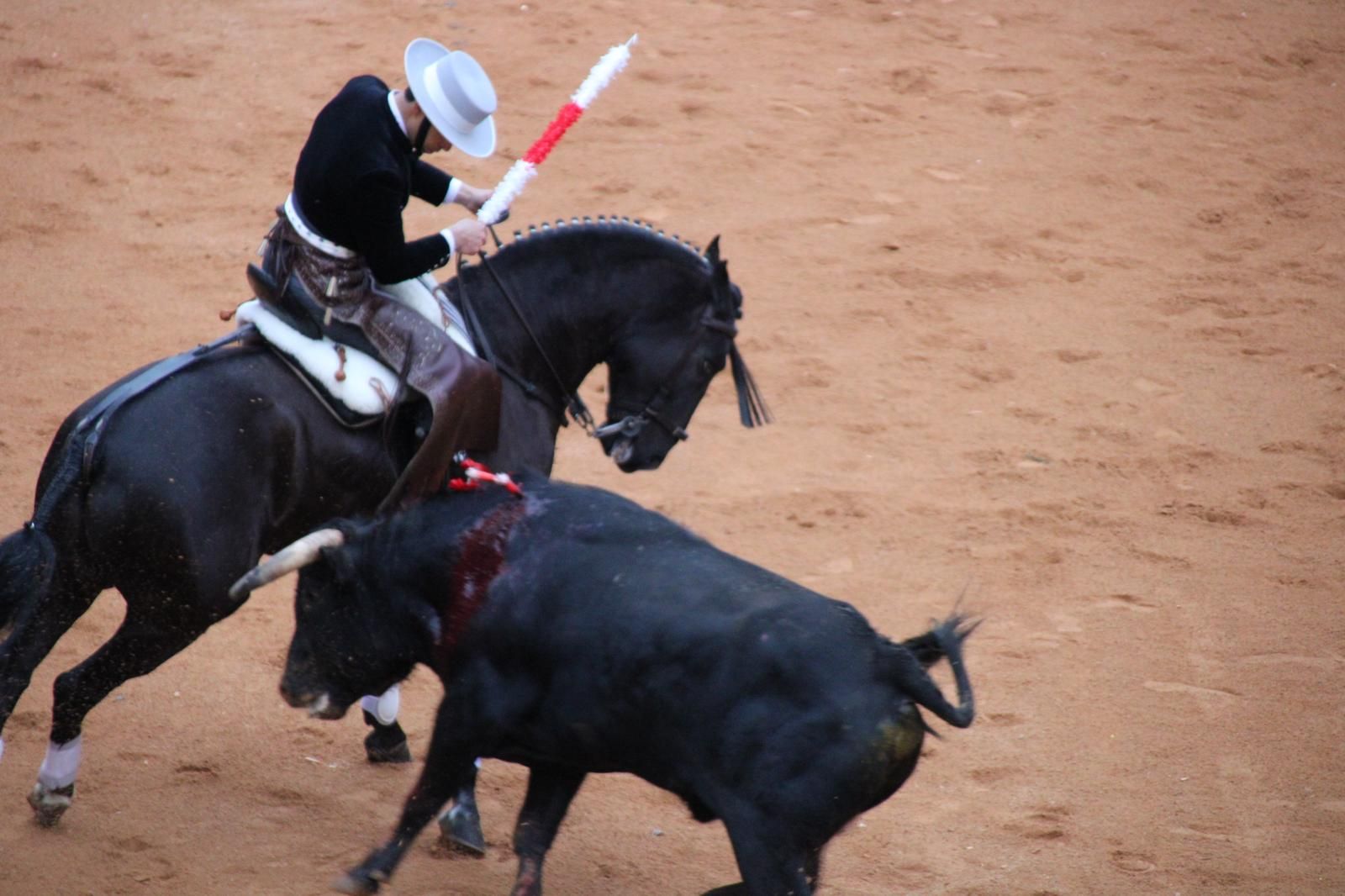 whatsapp-image-2025-03-02-at-18-56-00