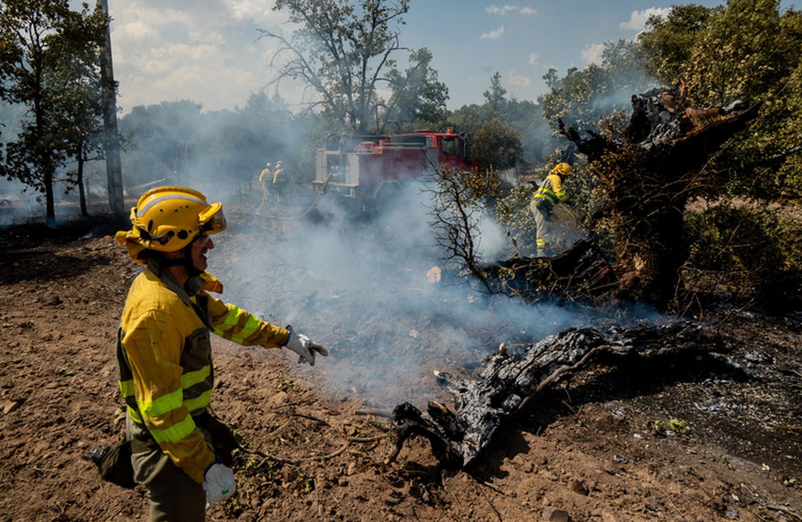 El fuego quema una zona de pasto en los entornos de la N-620 y la A-62 en Valdecarpinteros