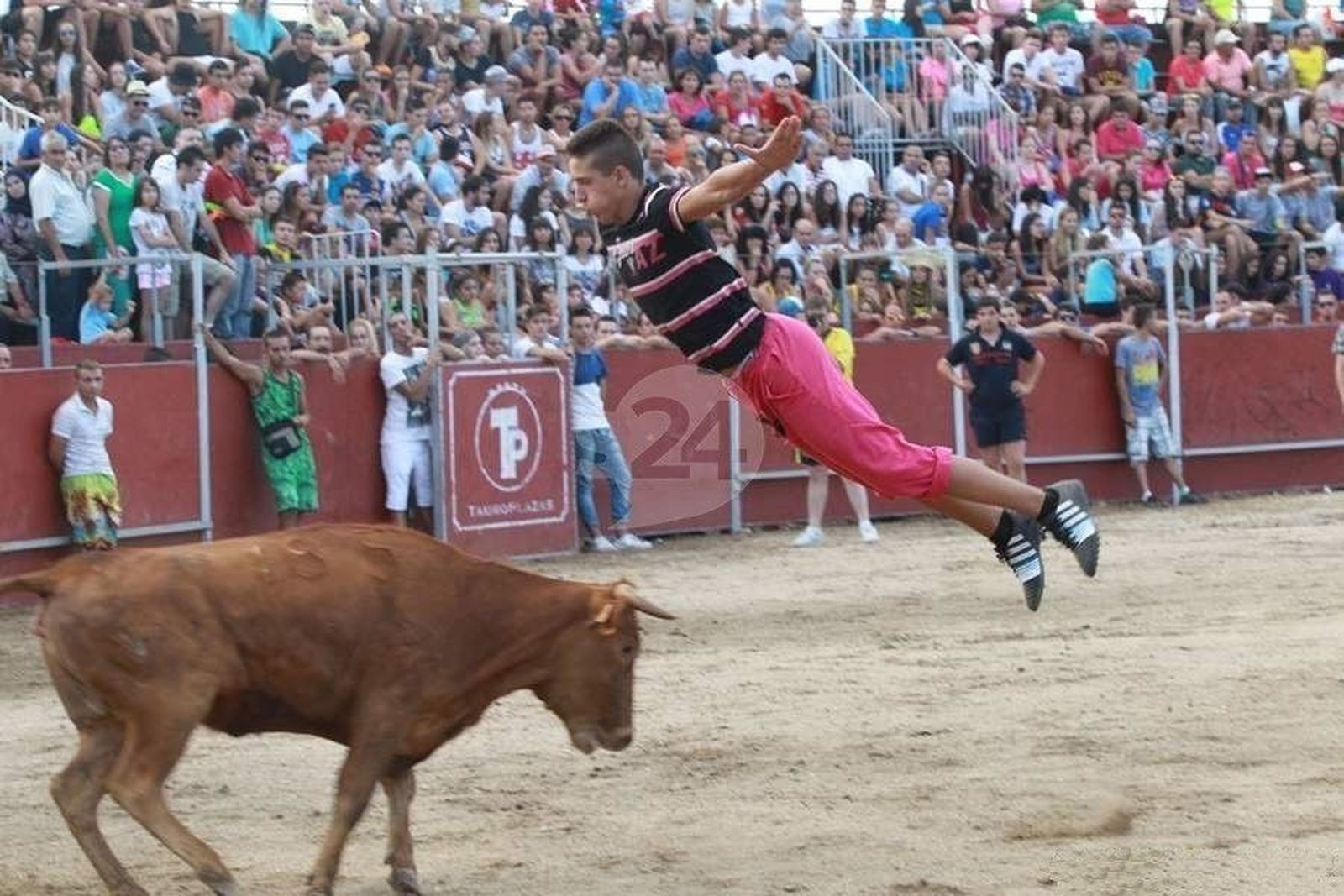 El Pleno garantiza la celebración de los festejos taurinos populares