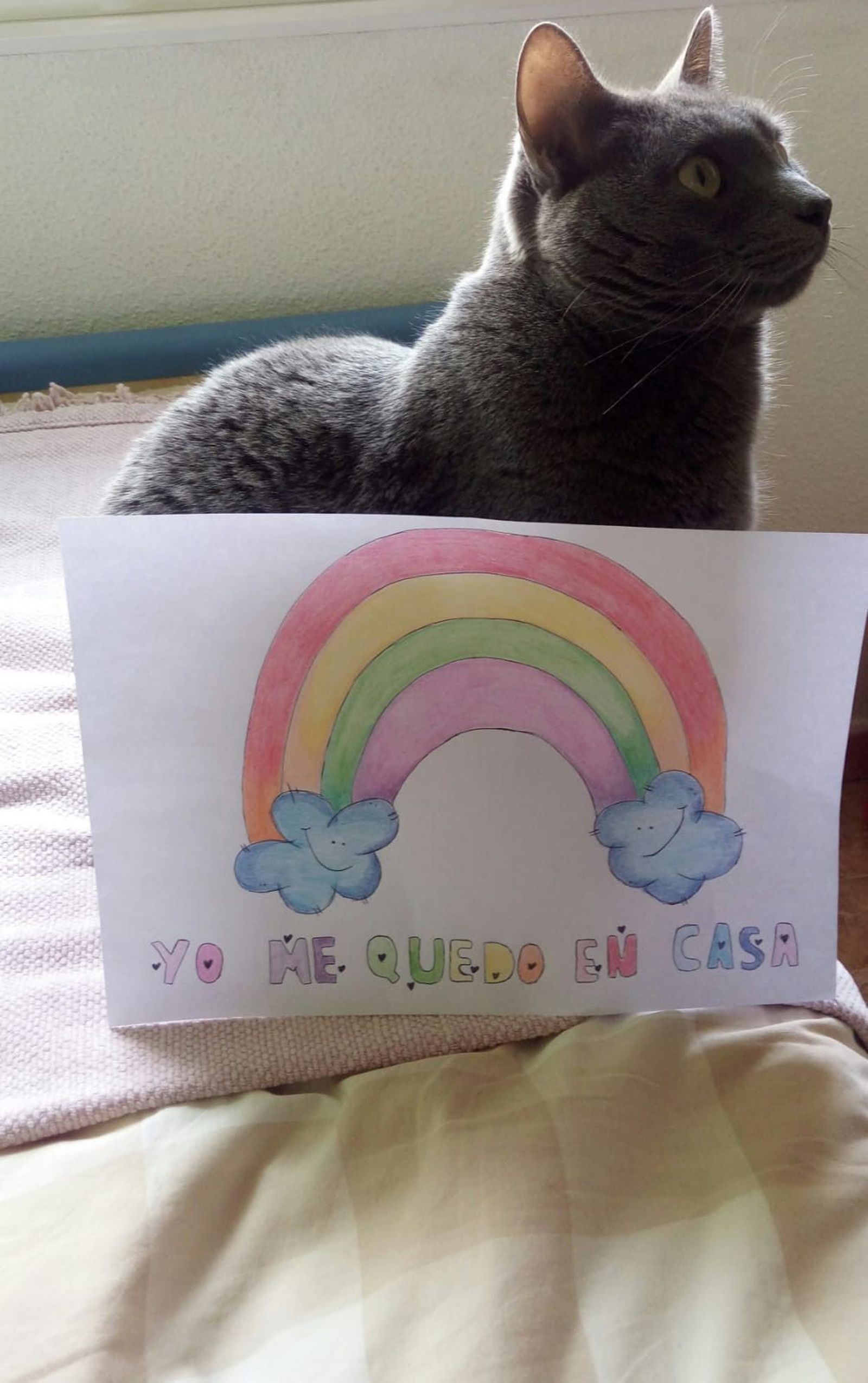 WhatsApp Image 2020 03 25 at 20.30.06