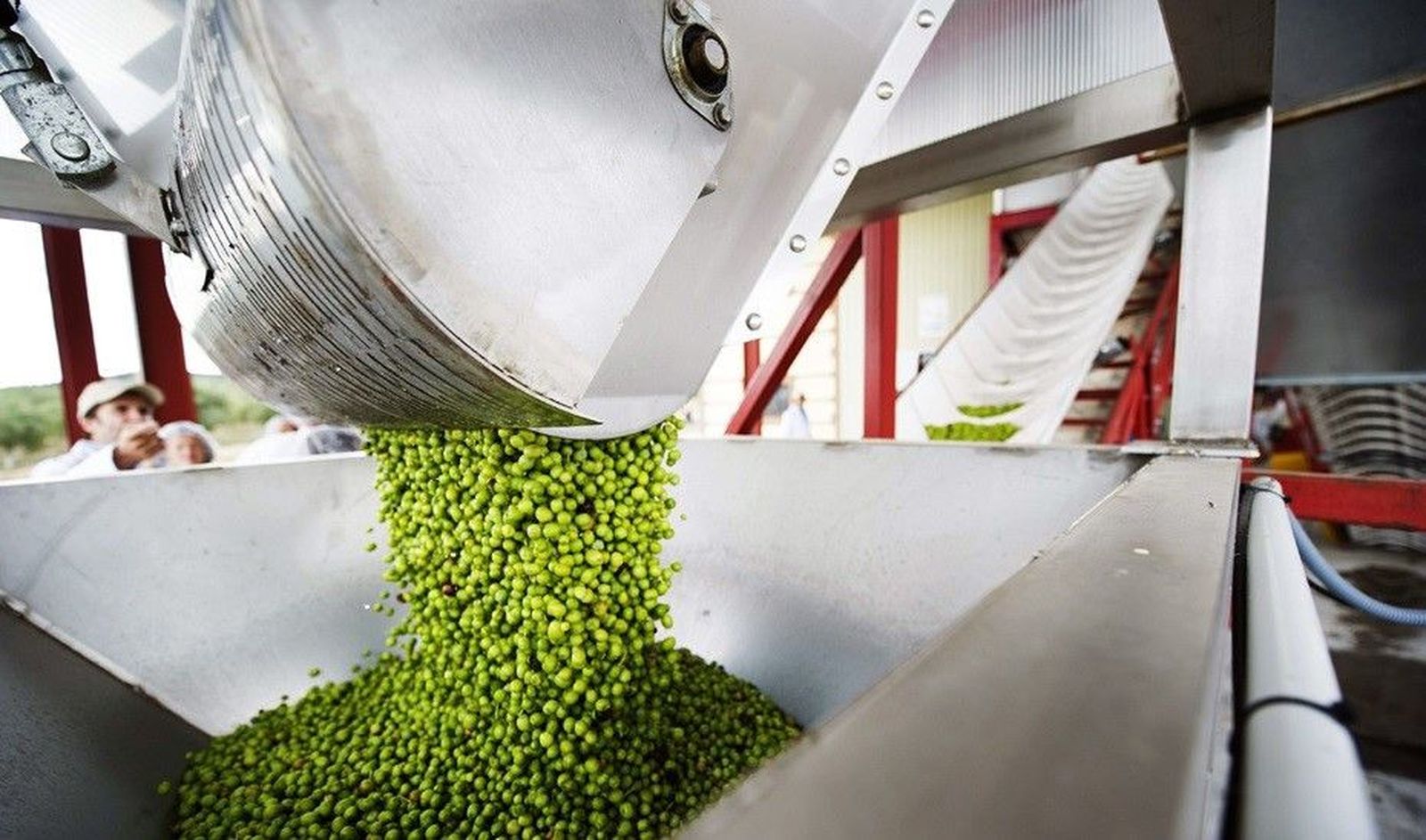 Producción agroalimentaria en una imagen de archivo