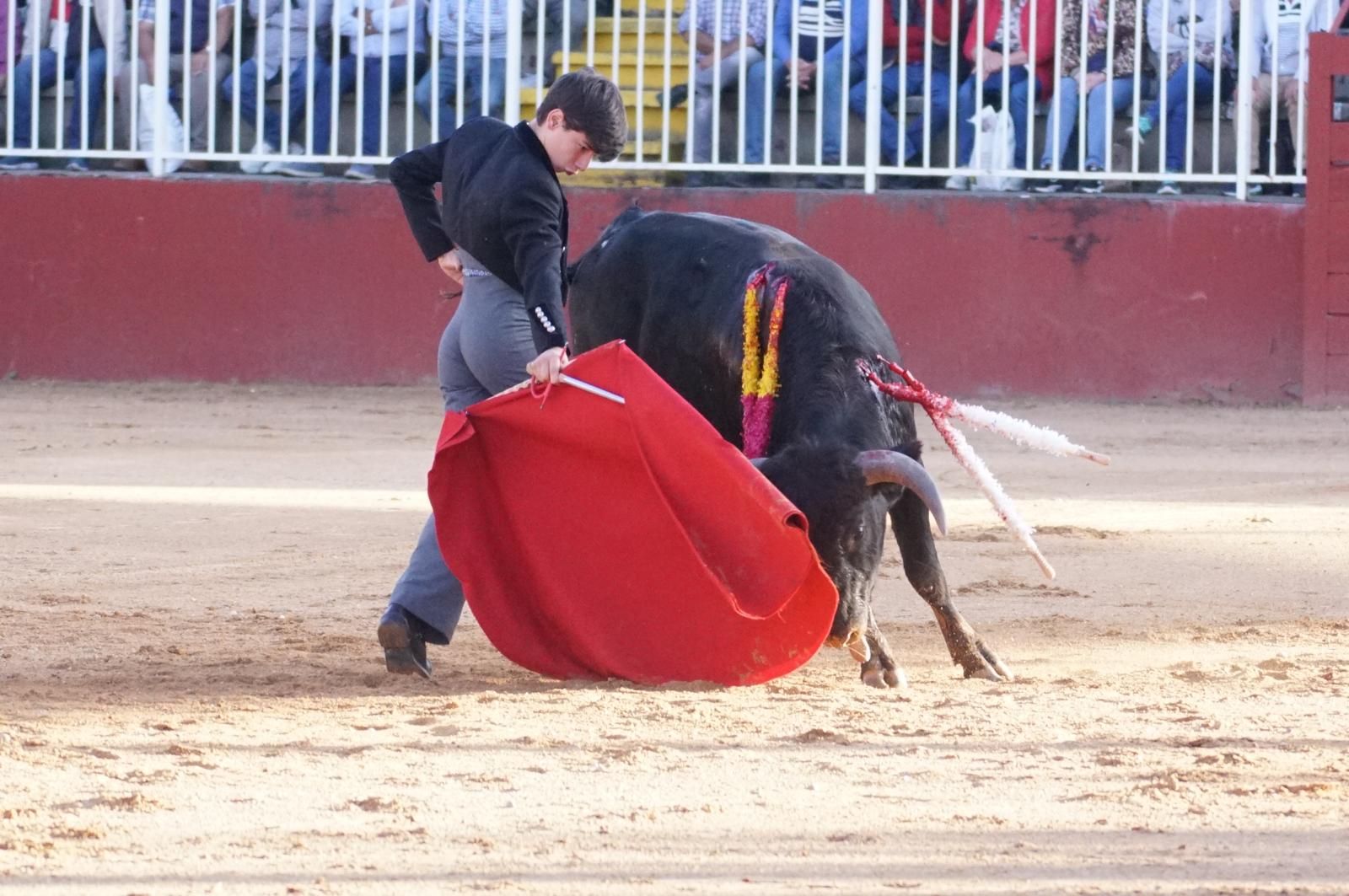 whatsapp-image-2024-09-06-at-20-54-19