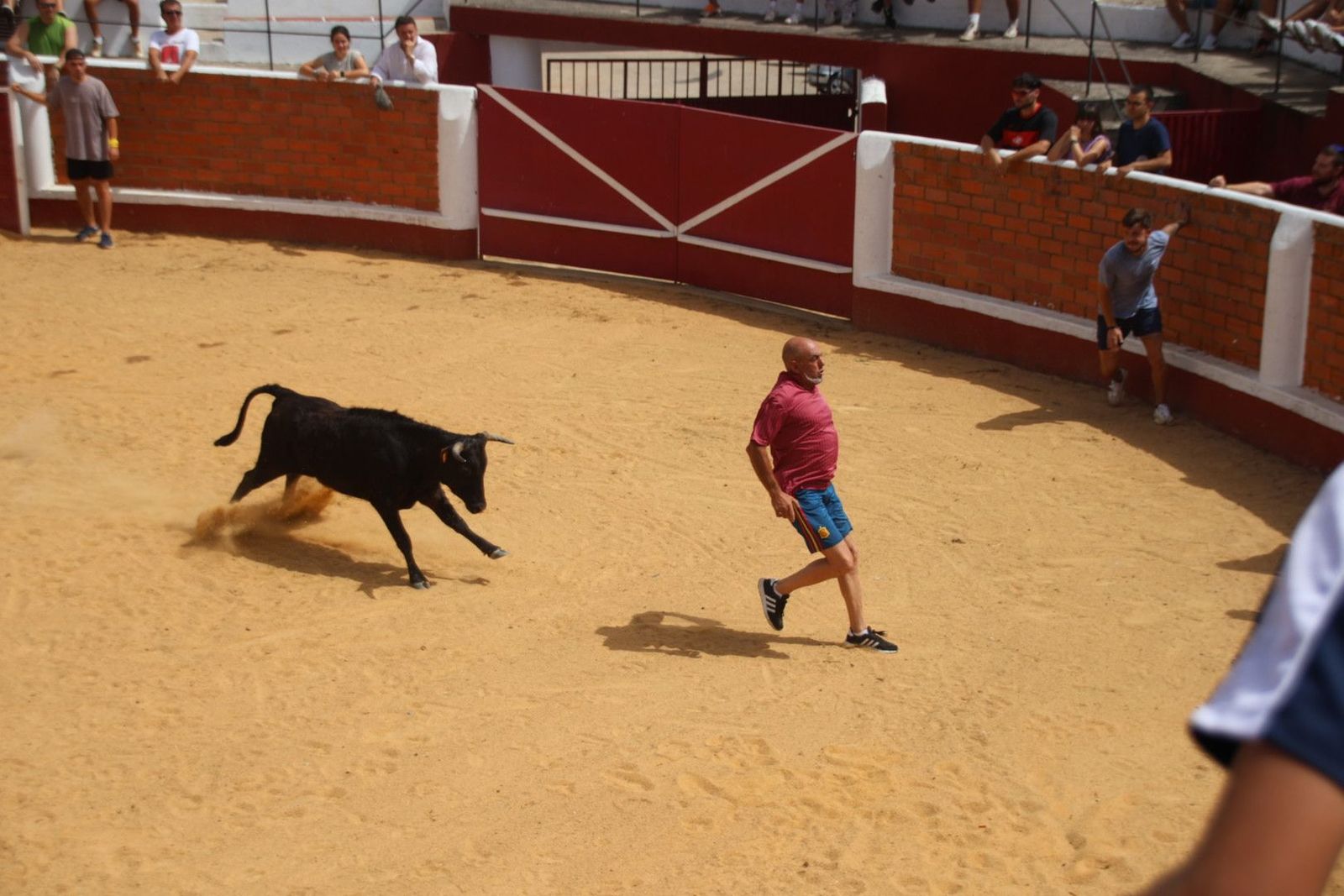 20230809120412-img-9619