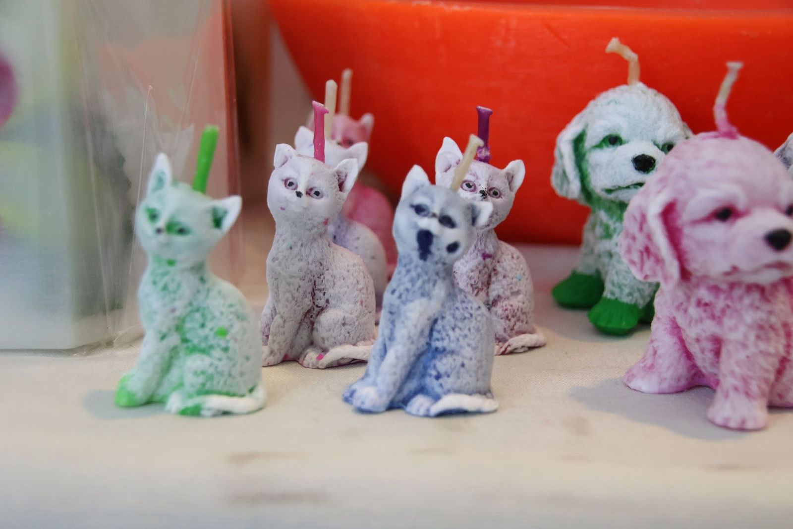 20230428101010-img-9838