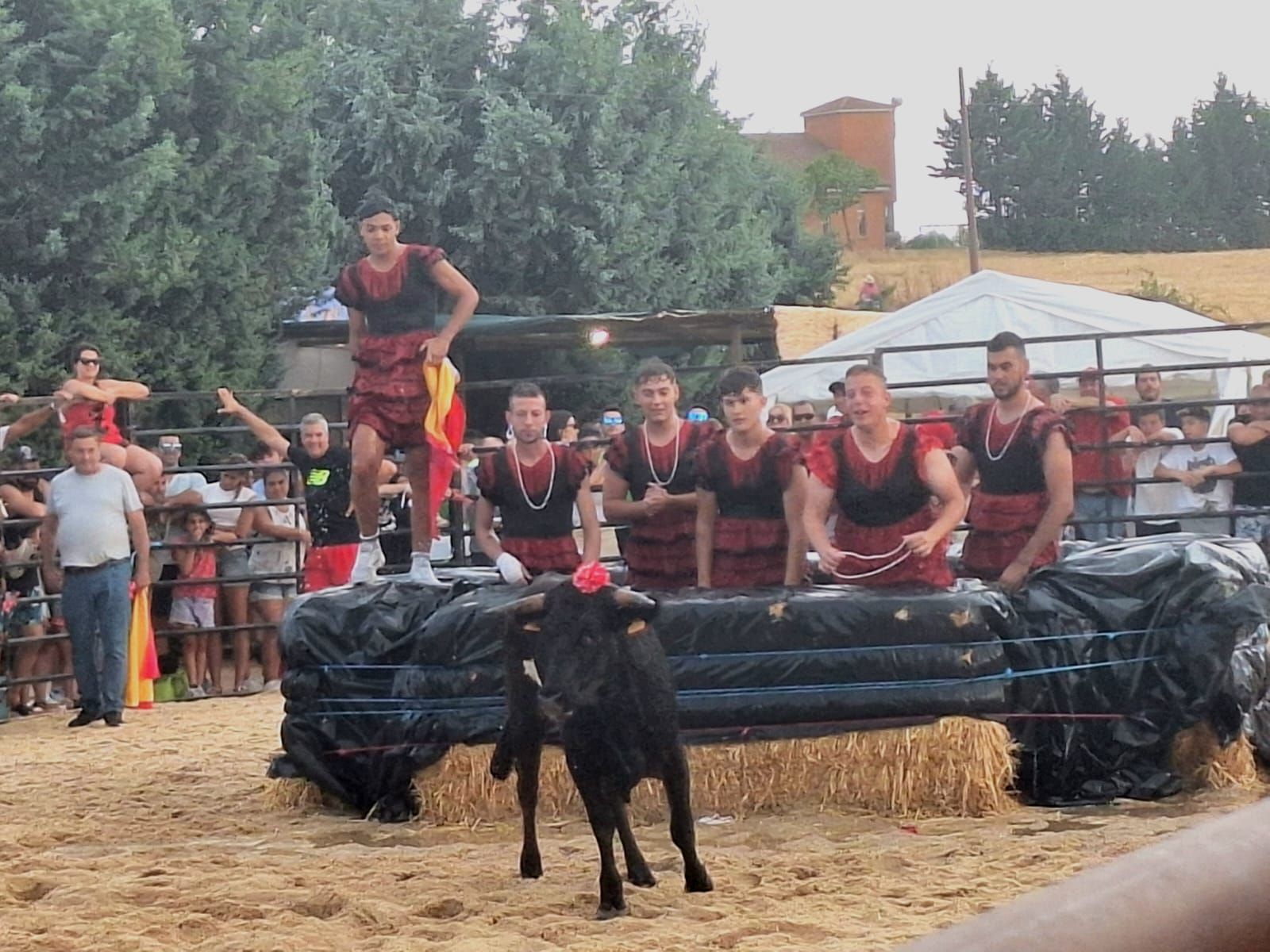 Cientos de personas disfrutan de las vaquillas de Valdelosa