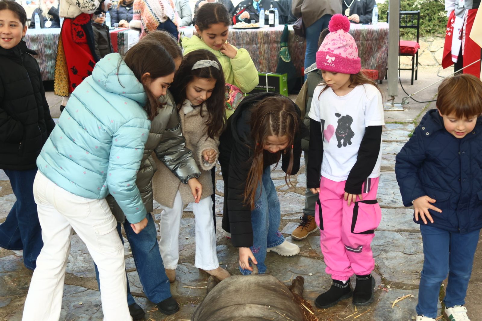 Desfile arriero y matanza típica en Guijuelo
