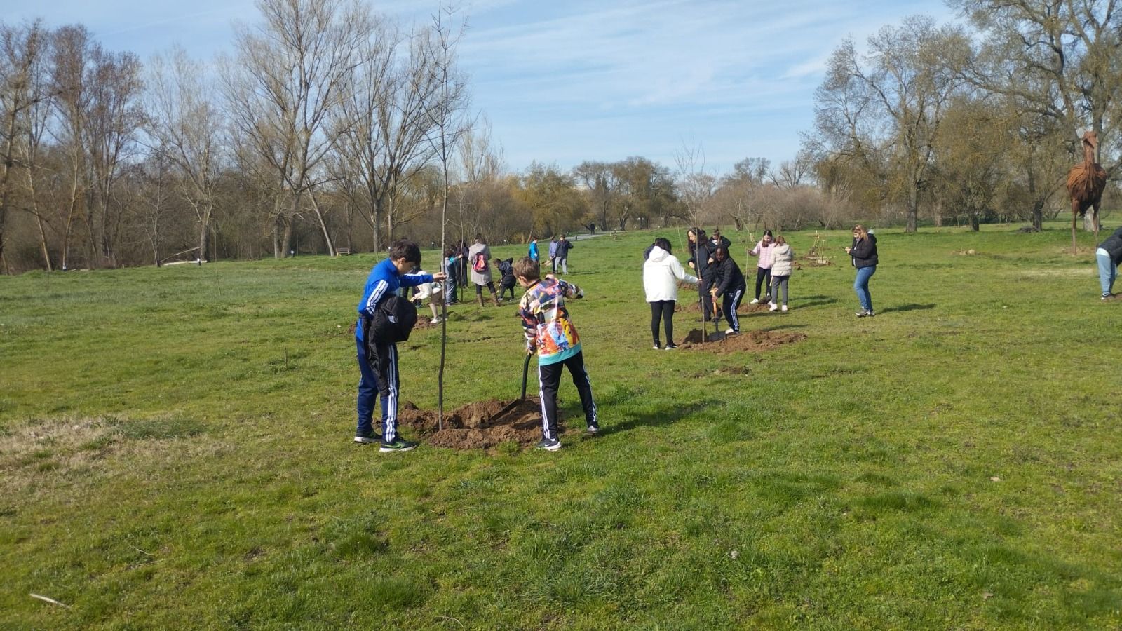 Reforestación isla del Soto en Santa Marta  (3)