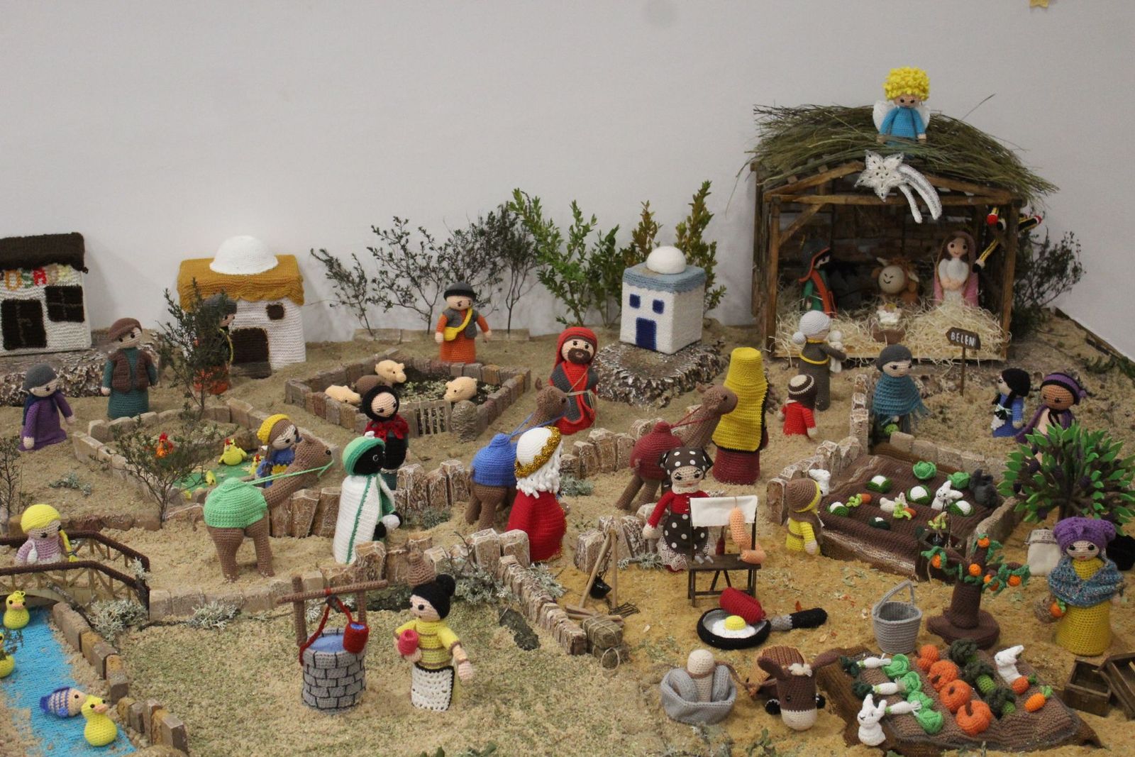 20231205185824-img-6599