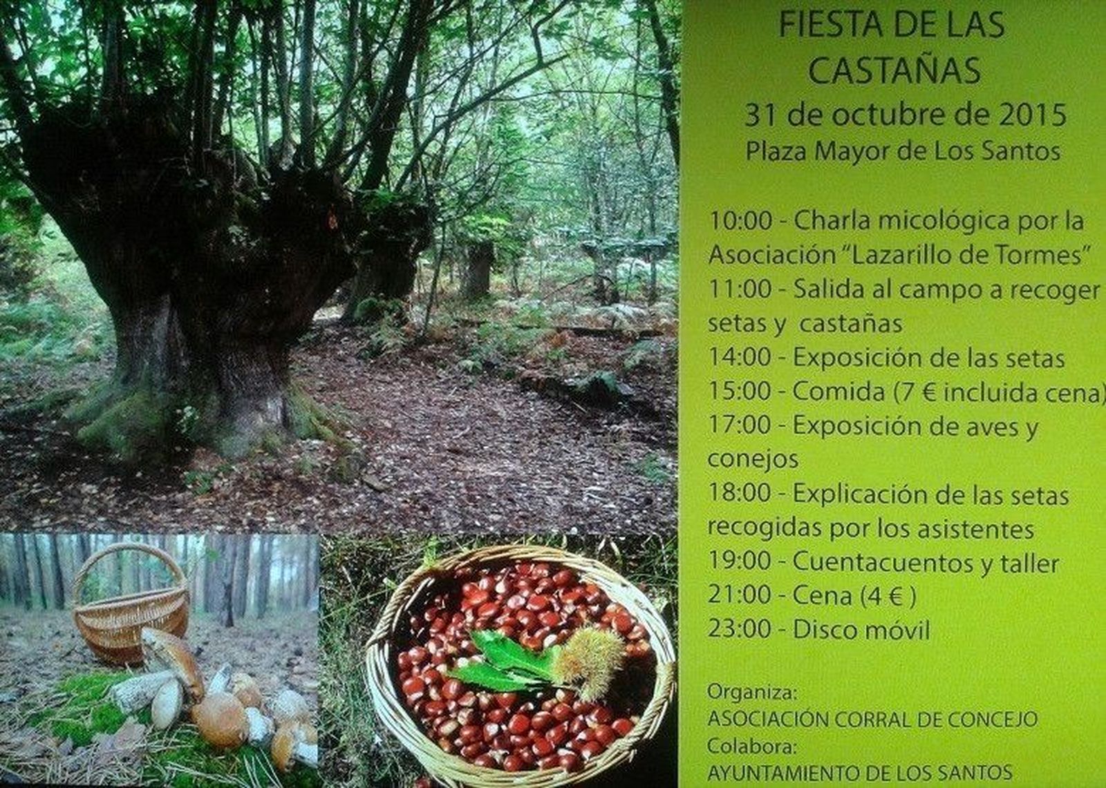 Setas y castañas protagonizan una jornada inolvidable