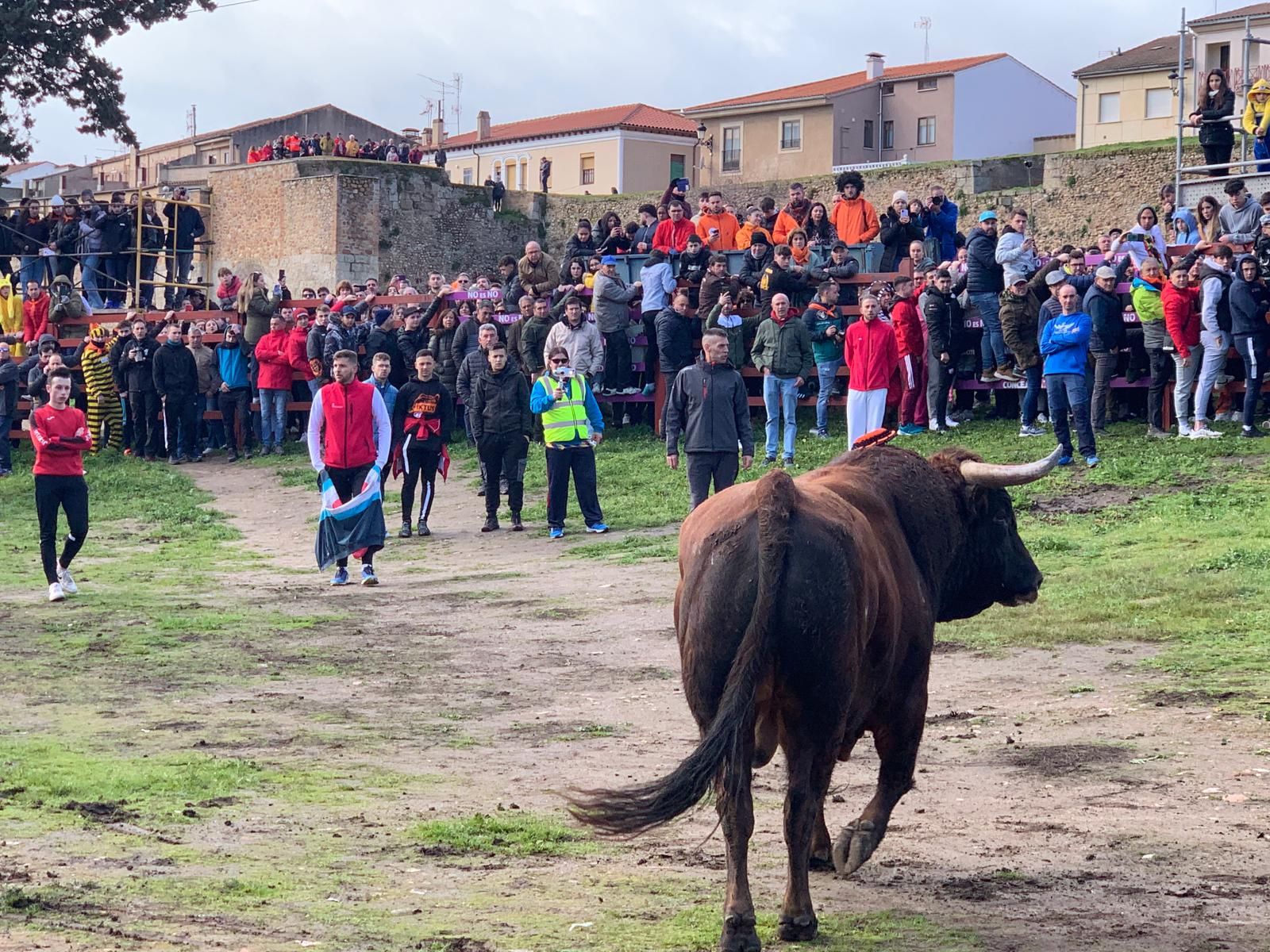 whatsapp-image-2024-02-10-at-11-36-10-1