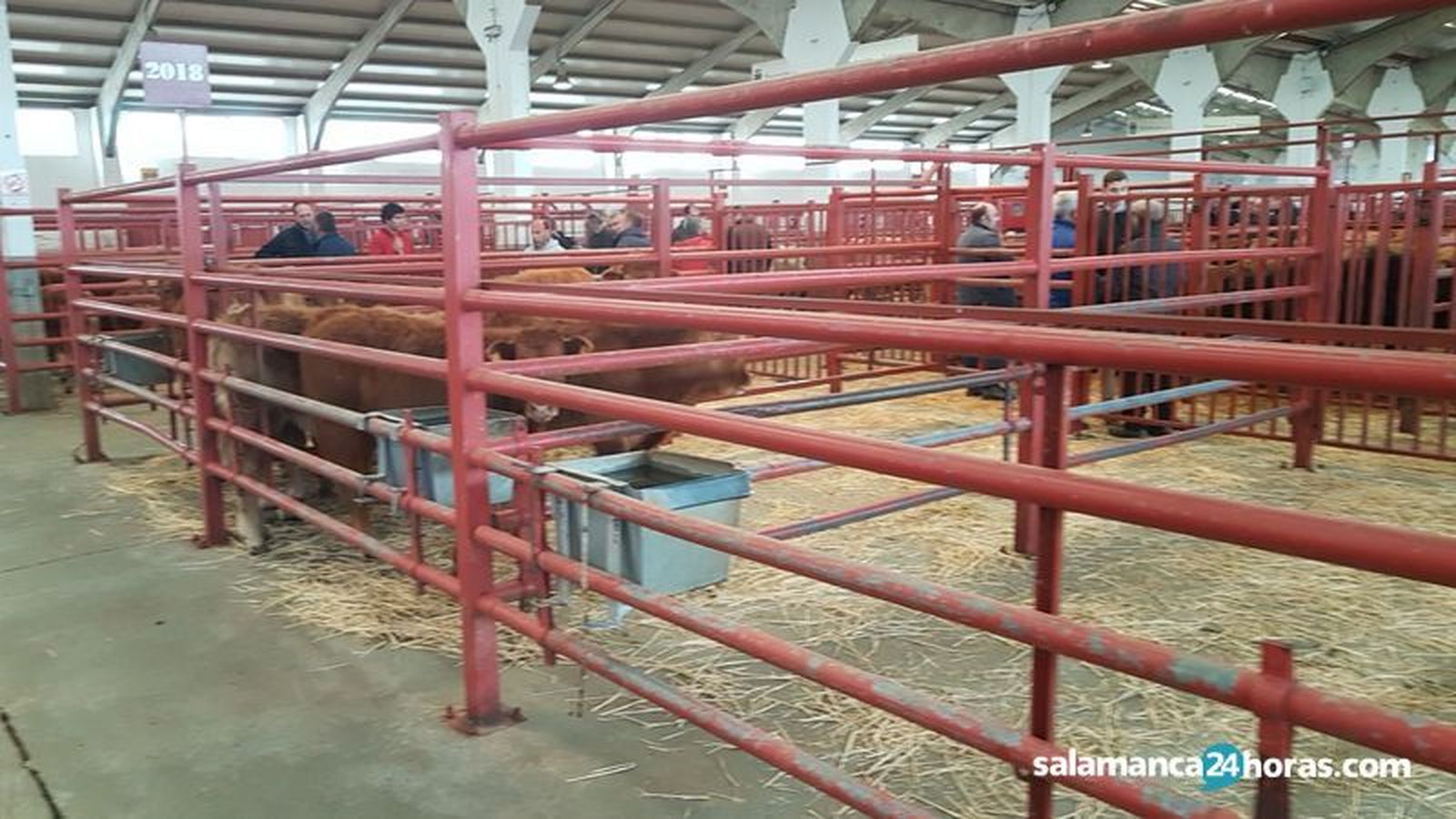 Mercado vacuno  (30) result