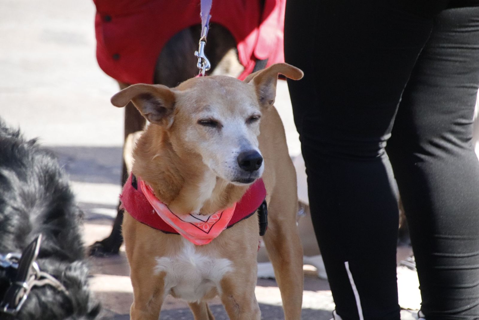 20230205121200-mg-5691