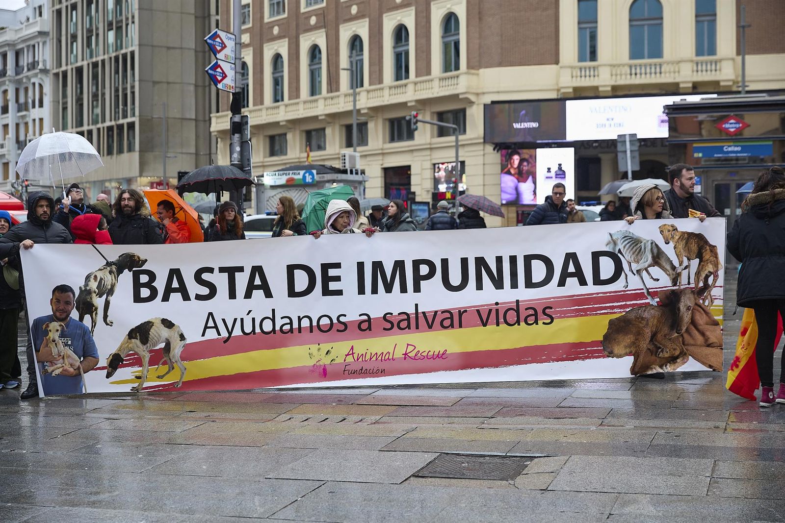 Manifestantes portan pancarta con lema 'Basta de impunidad. Ayúdanos a salvar vidas' durante la manifestación en contra de la caza