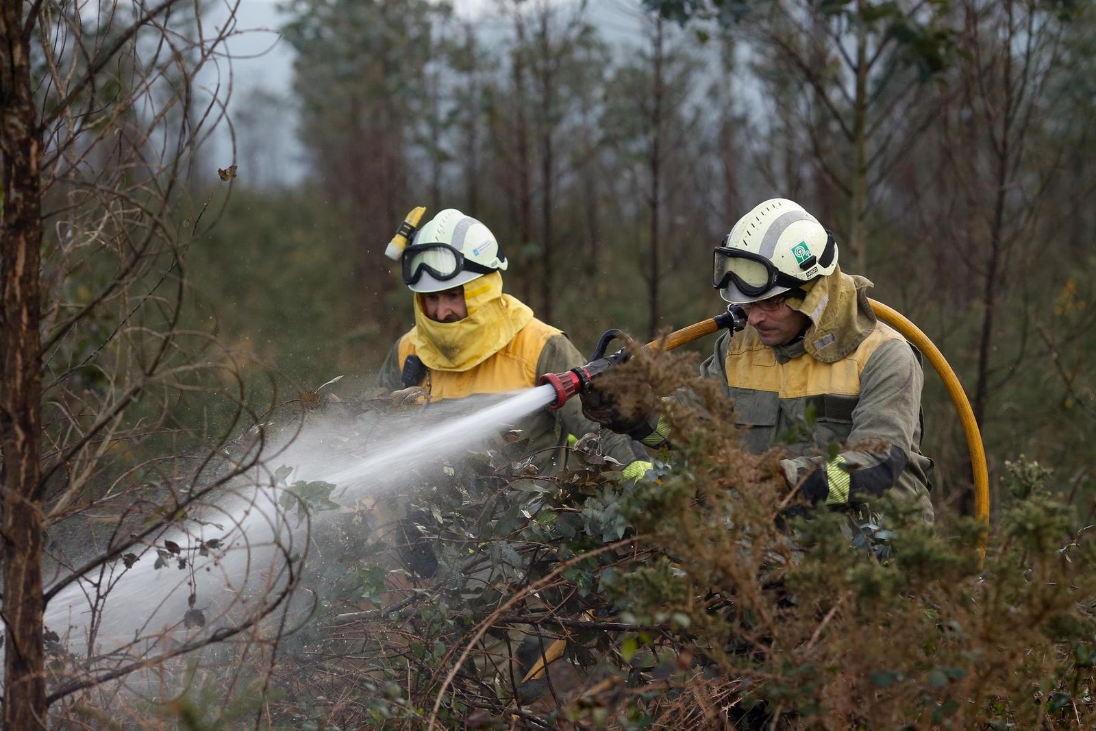 Archivo   Agentes de los equipos de bomberos trabajan en el lugar del incendio, a 8 de febrero de 2024, en Trabada, Lugo, Galicia (España).   Carlos Castro   Europa Press   Archivo