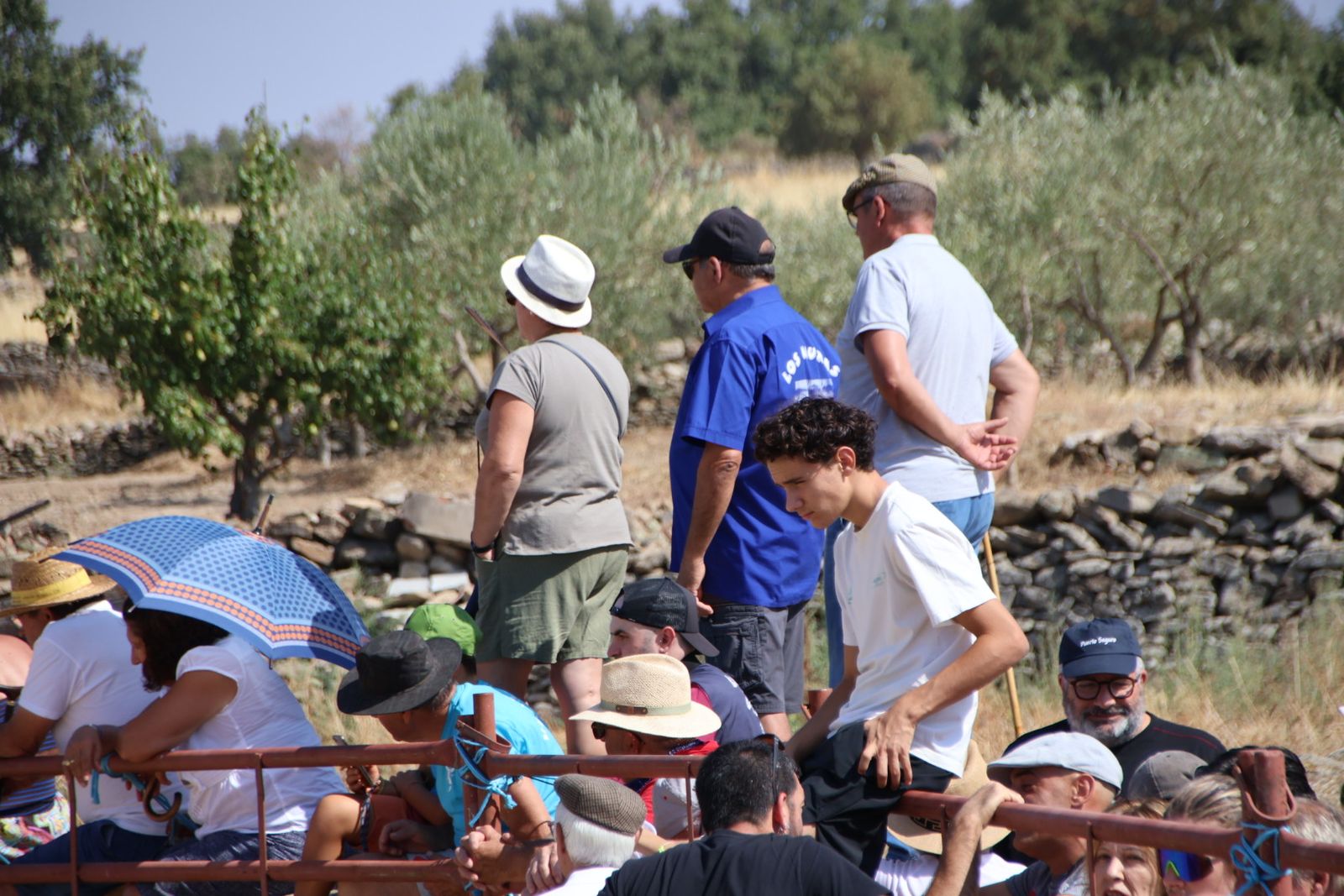 Lumbrales encierro a caballo