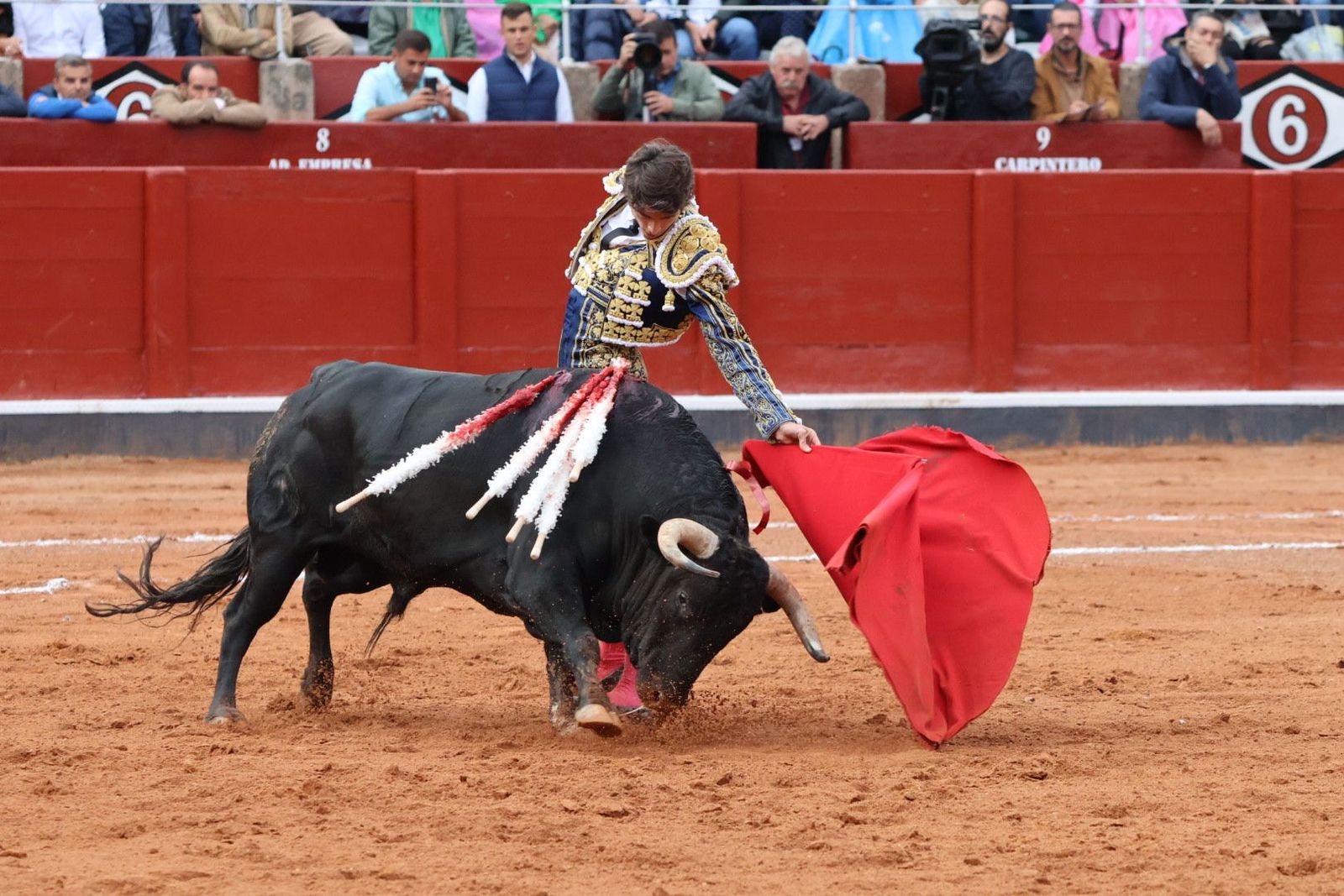 20230916182516-img-5550