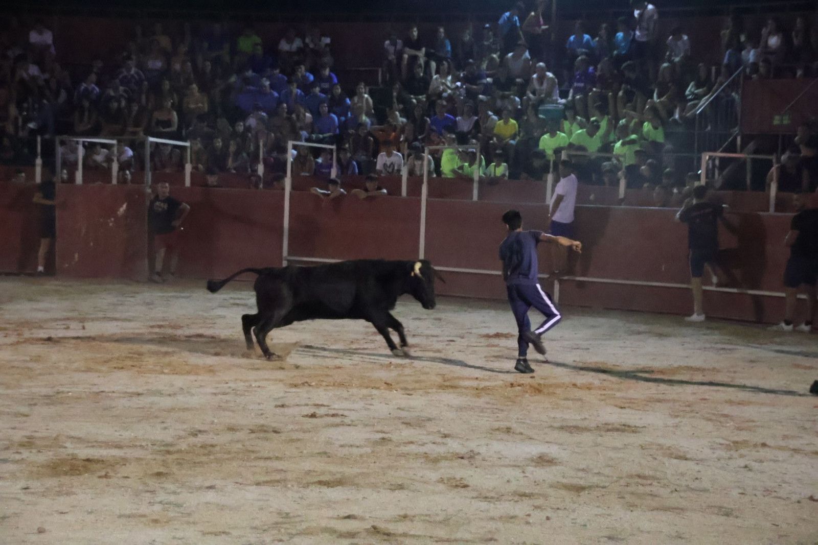 20230812214253-img-1300