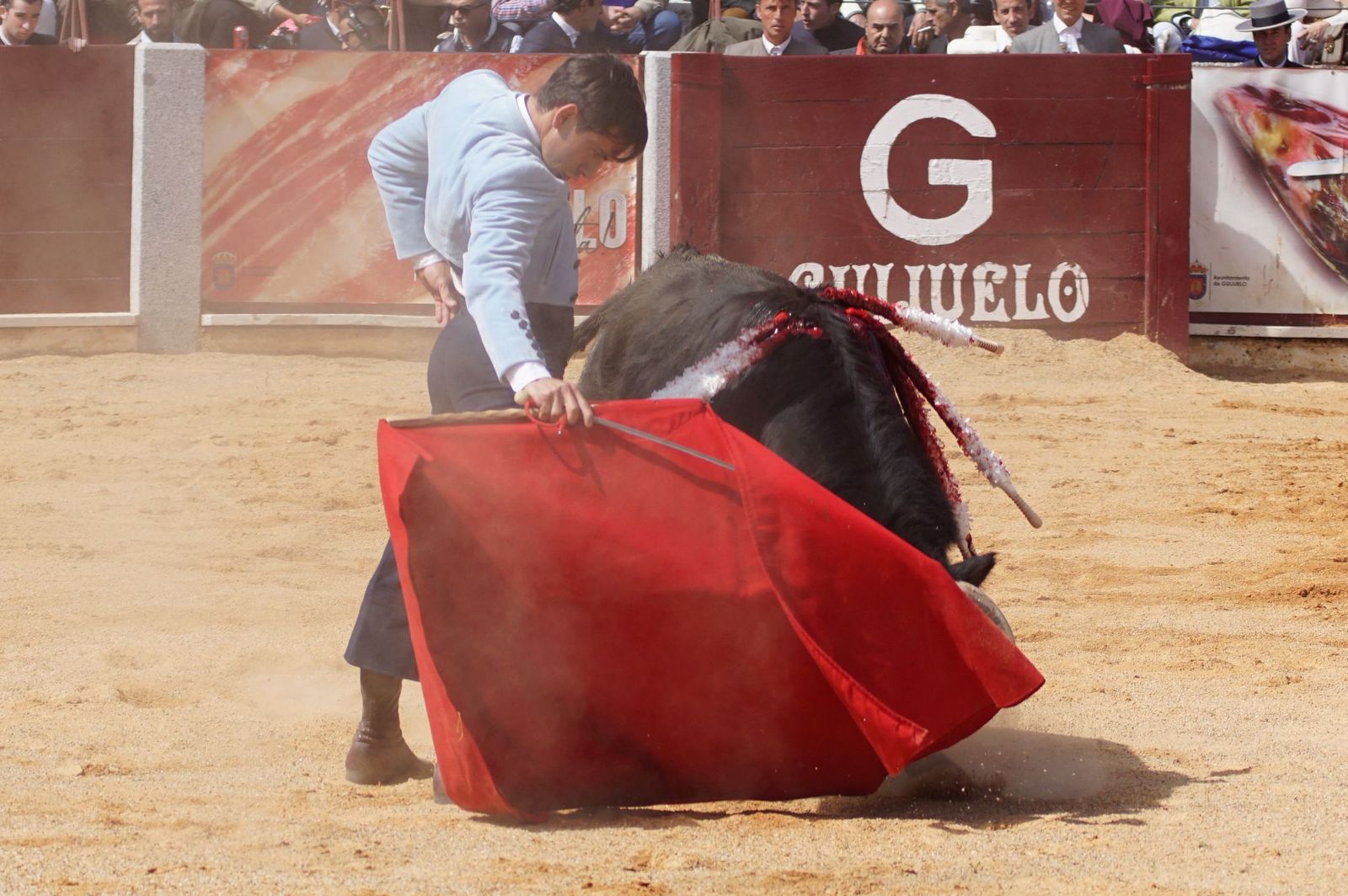 Festival taurino solidario por la esclerosis múltiple en Guijuelo